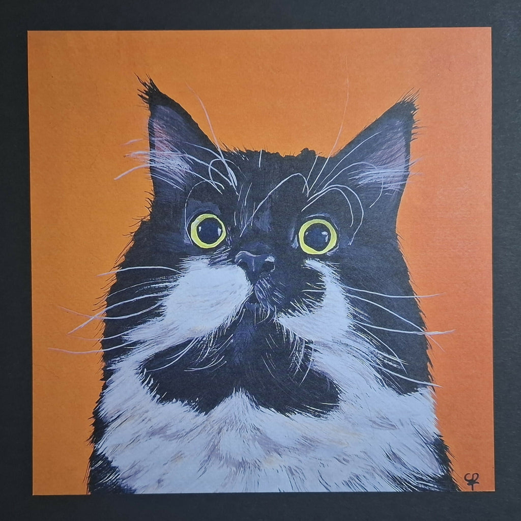 Cat print 'Staarpoes'