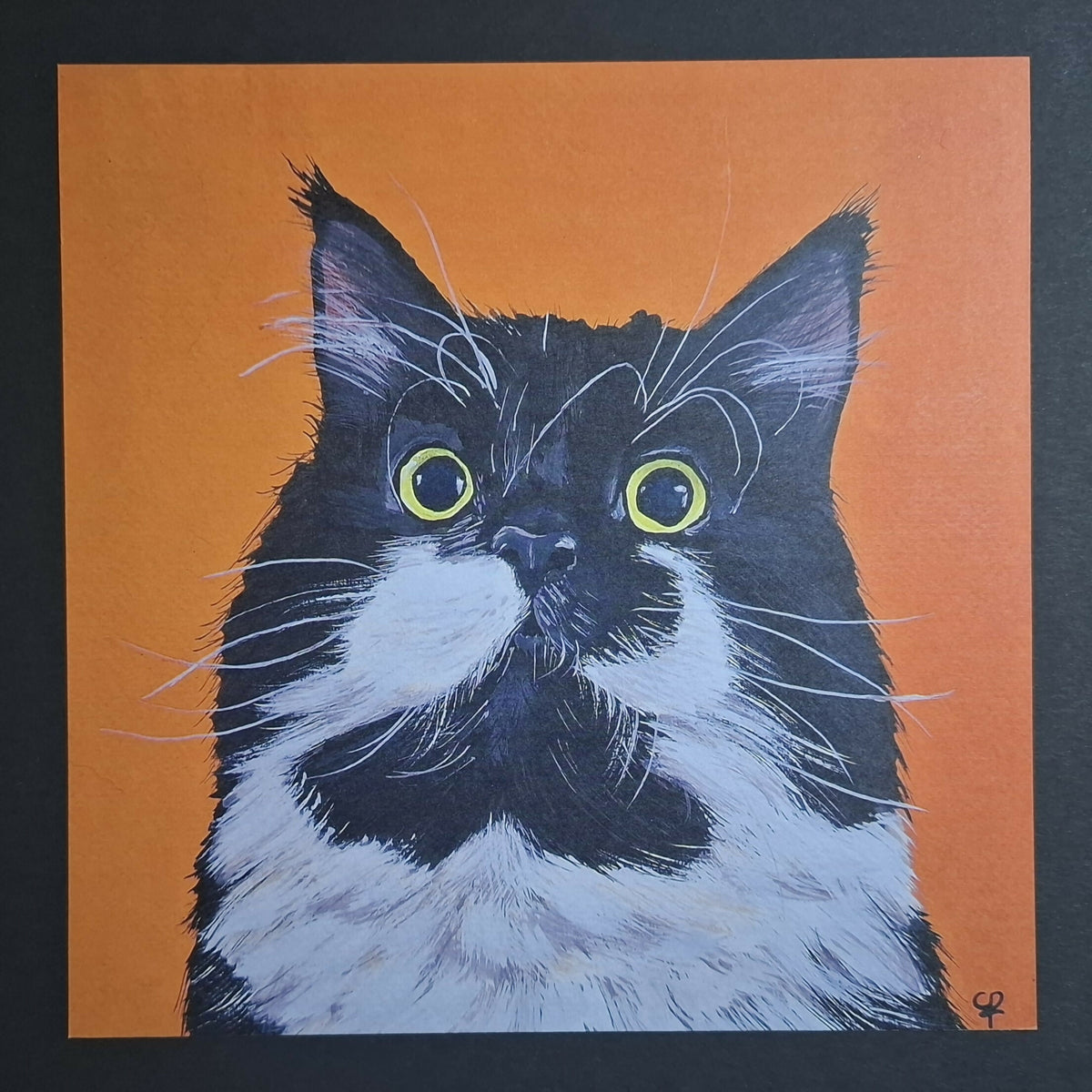 Cat print 'Staarpoes'