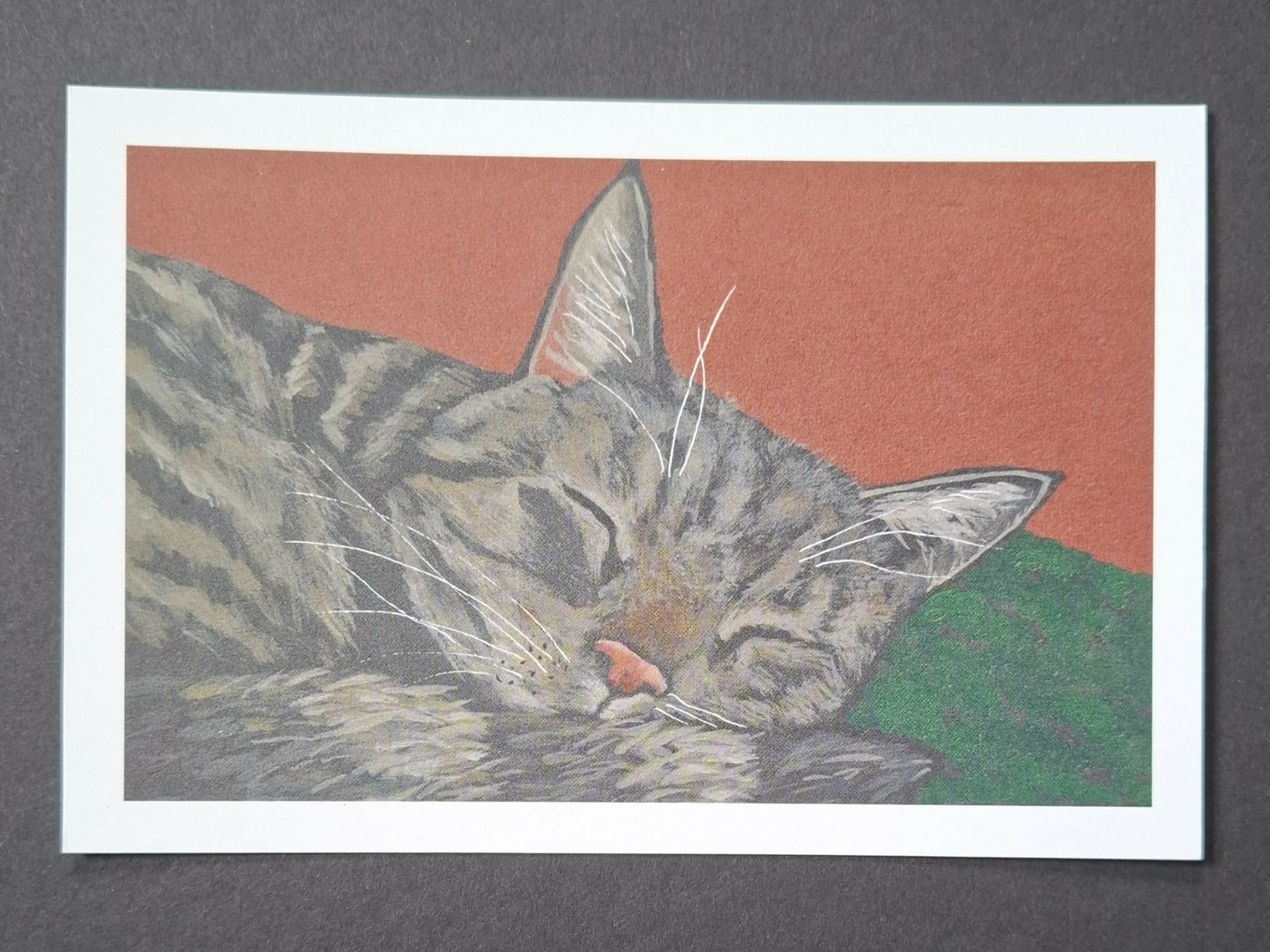 Cat print "Idli"