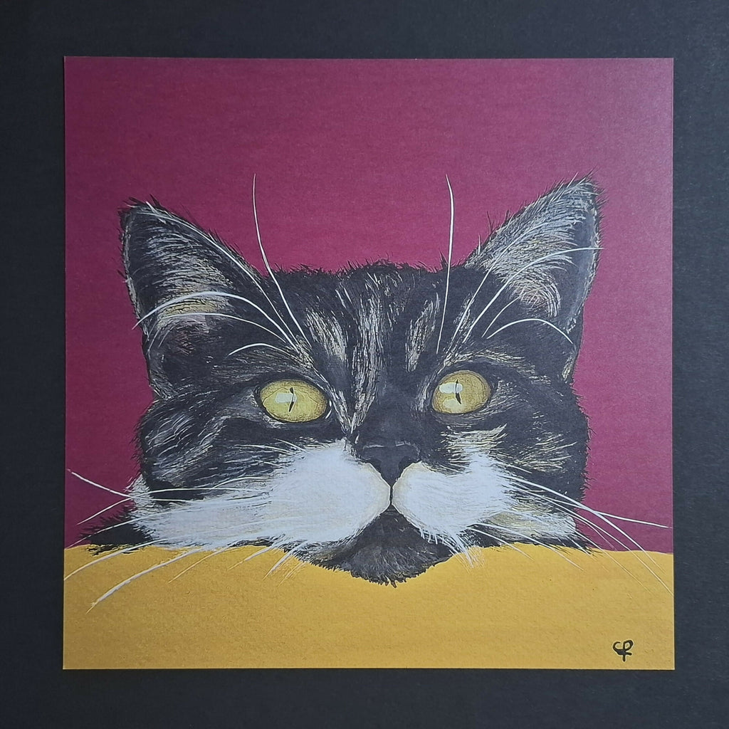 Cat print 'Gluurpoes'