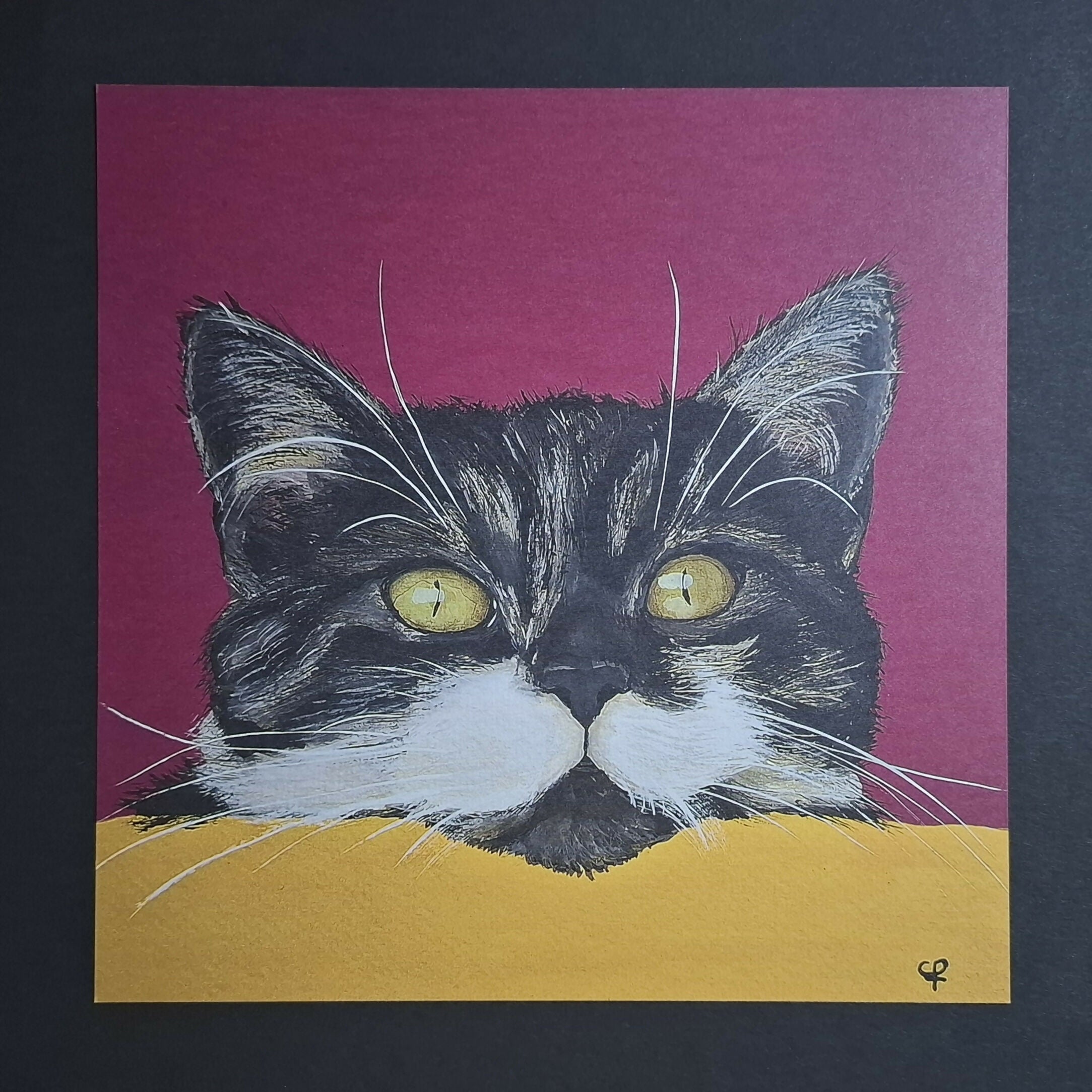 Cat print 'Gluurpoes'