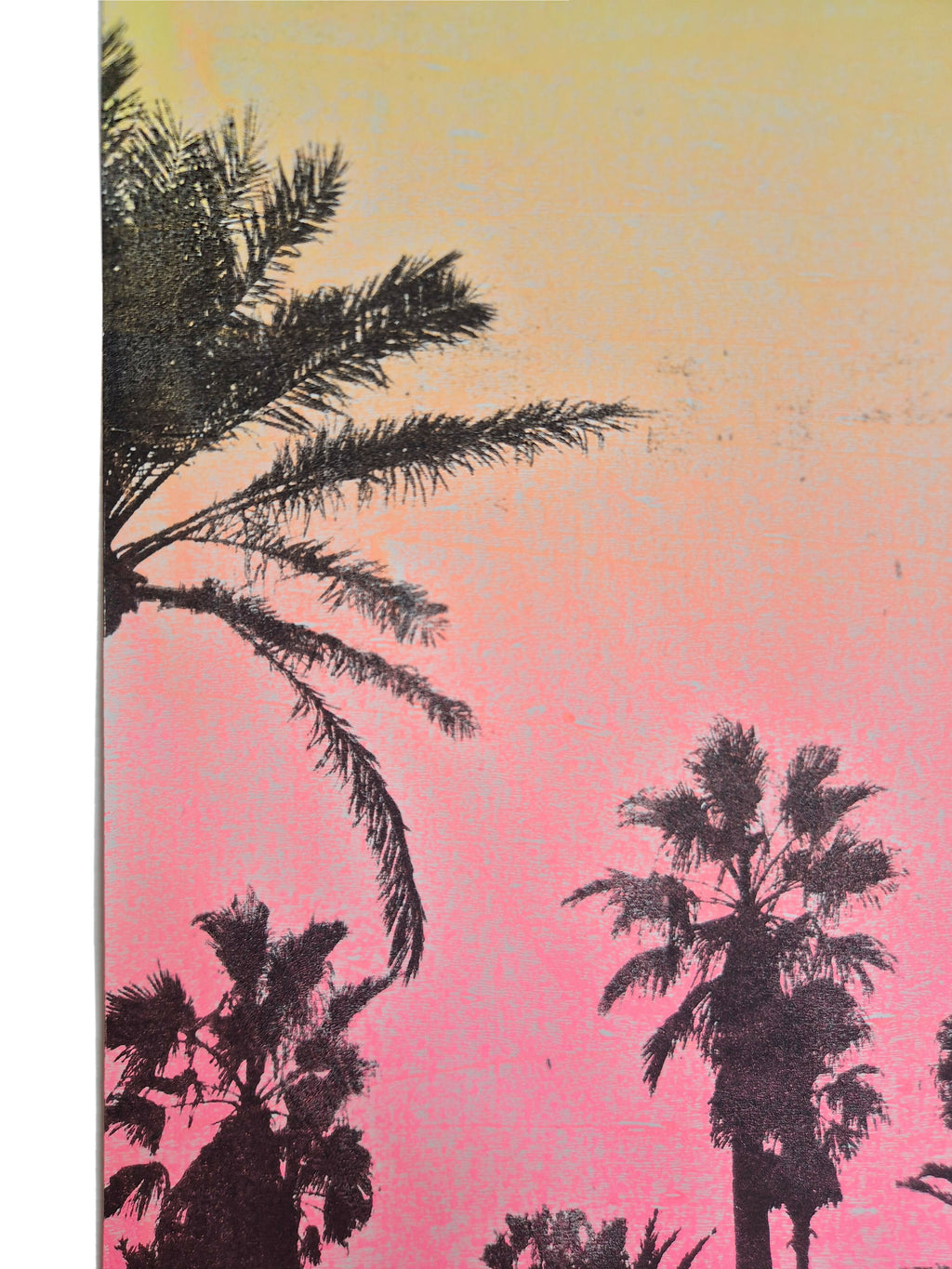 ORIGINELE PALM SCENE MONOPRINT - NEON ROZE GRADIENT