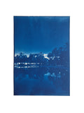 PALM SCENE - ORIGINAL CYANOTYPE