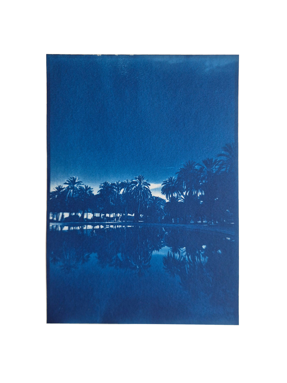 PALM SCENE - ORIGINAL CYANOTYPE
