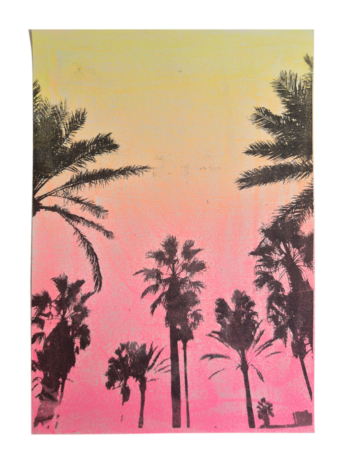 ORIGINELE PALM SCENE MONOPRINT - NEON ROZE GRADIENT