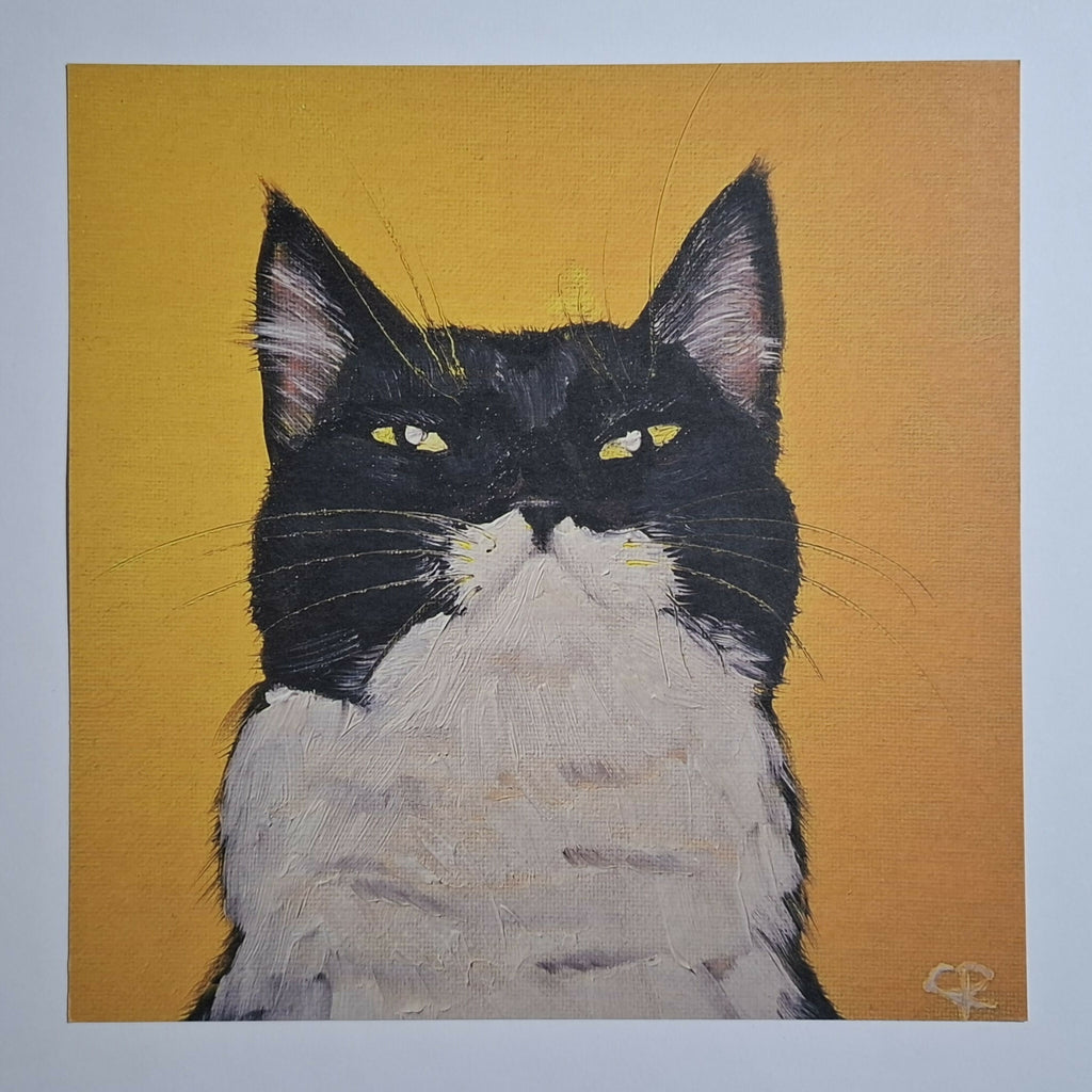 Cat print 'Pablo'