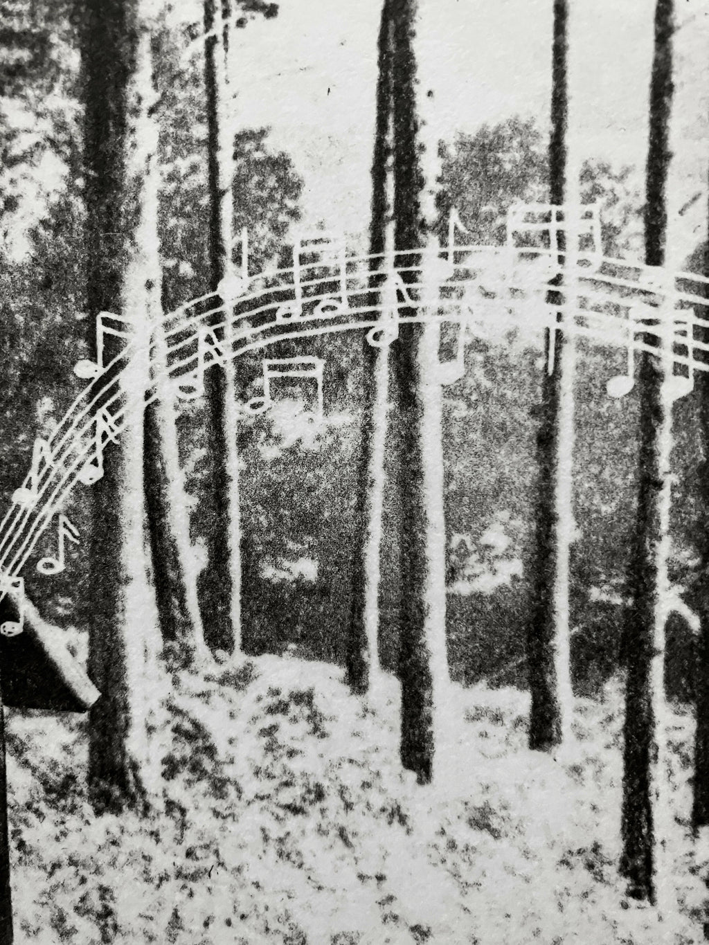 The Call of The Wild II
