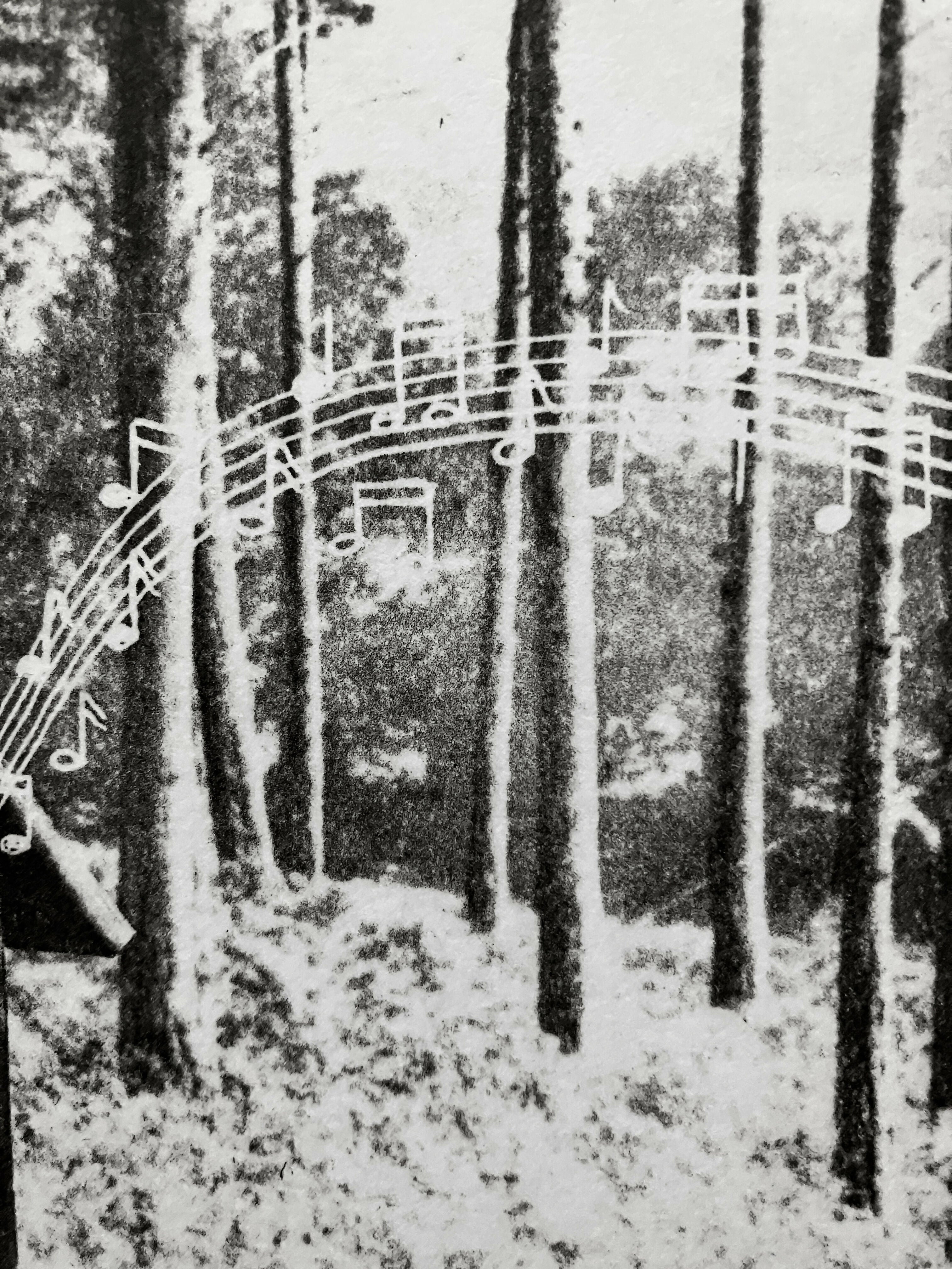 The Call of The Wild II