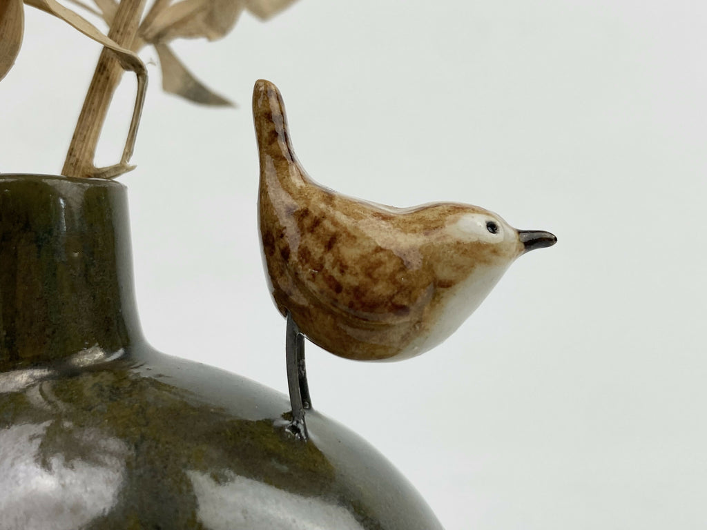 Lies the wren