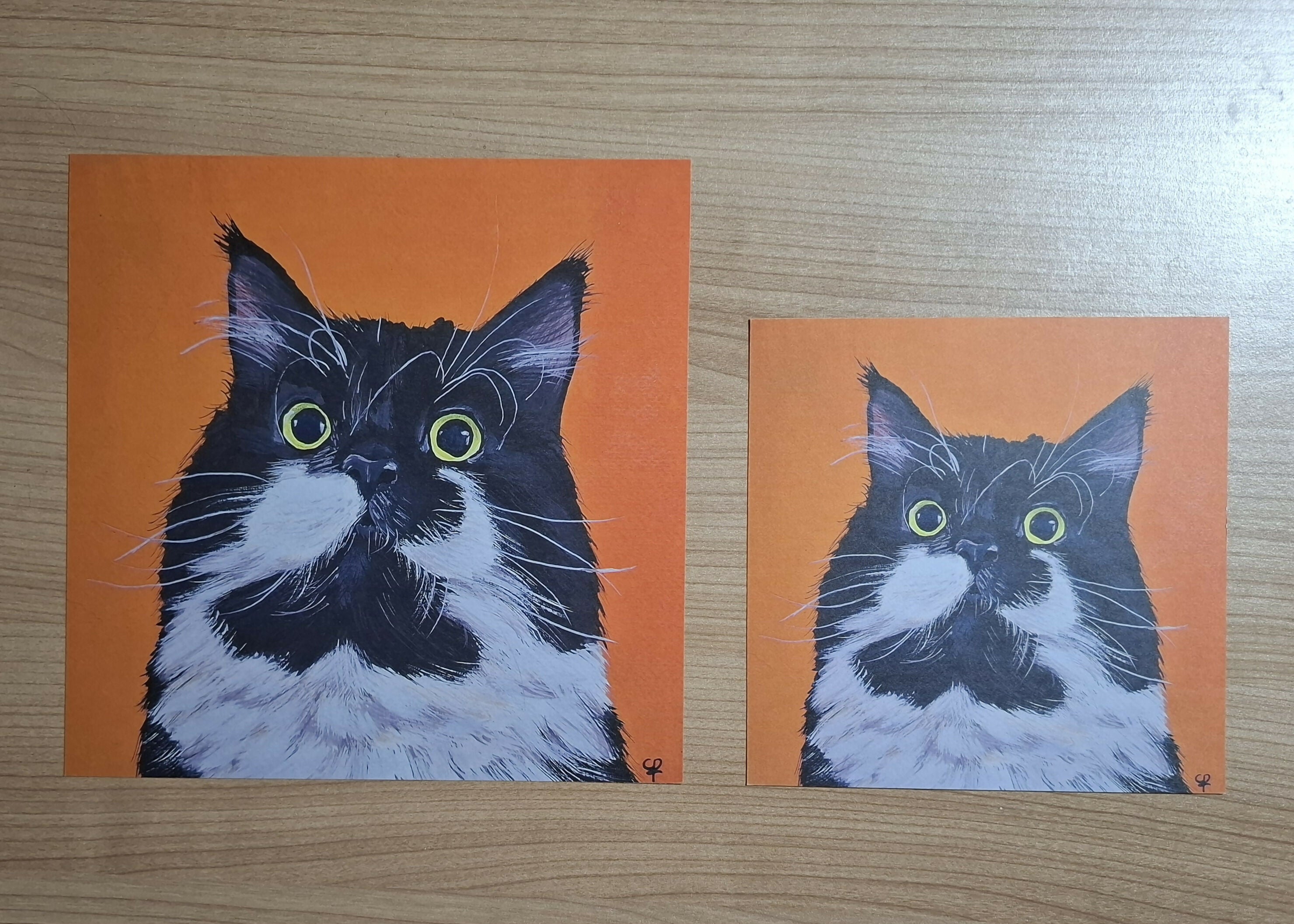 Cat print 'Staarpoes'