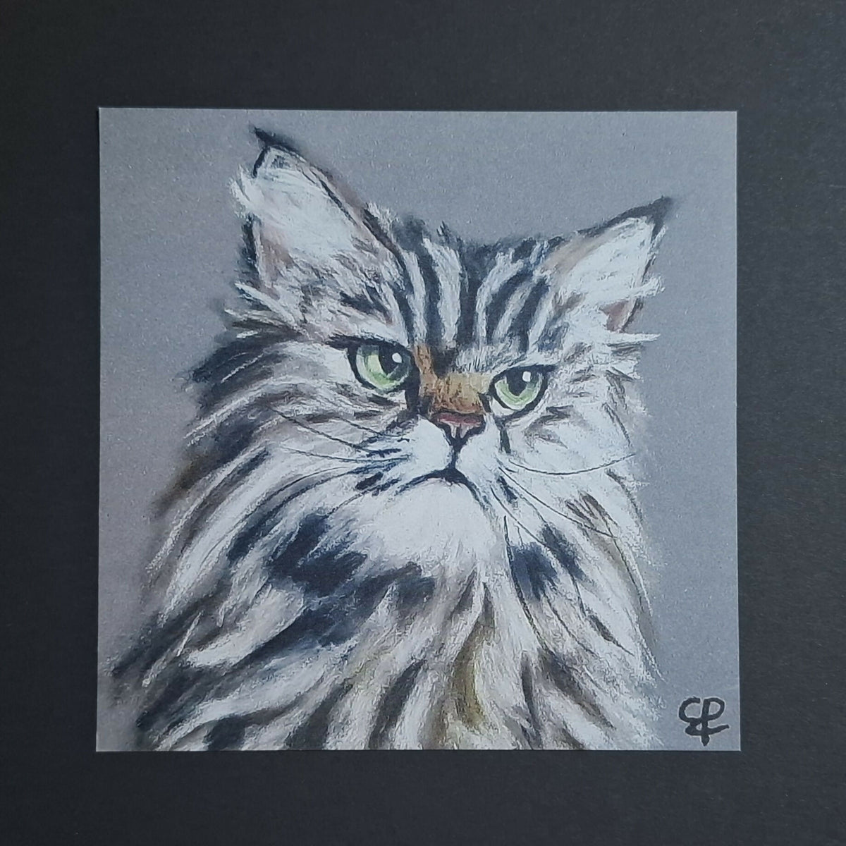 Cat print 'Dirk'