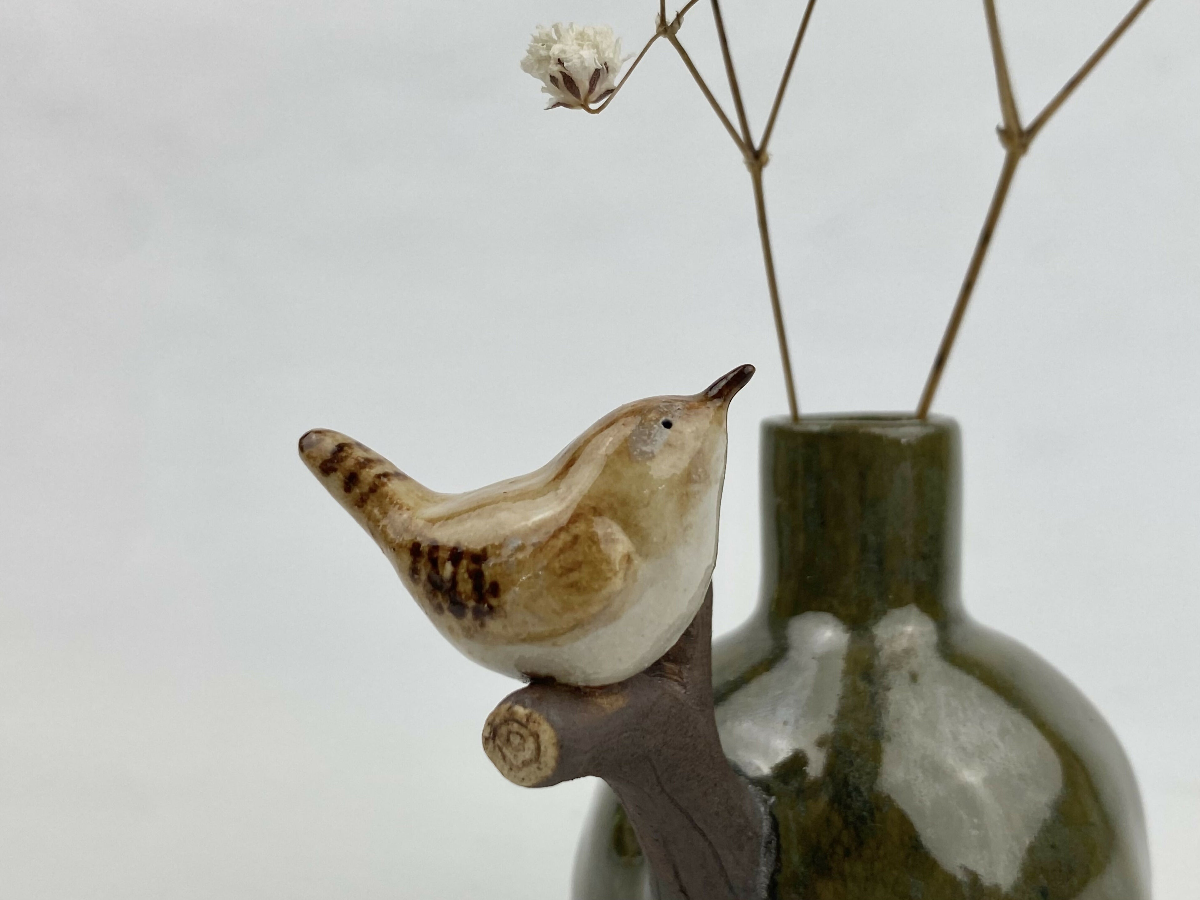 Fiep the wren