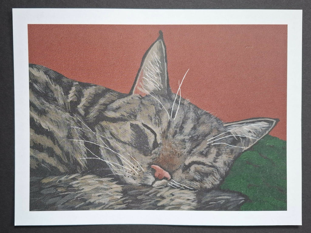 Cat print "Idli"