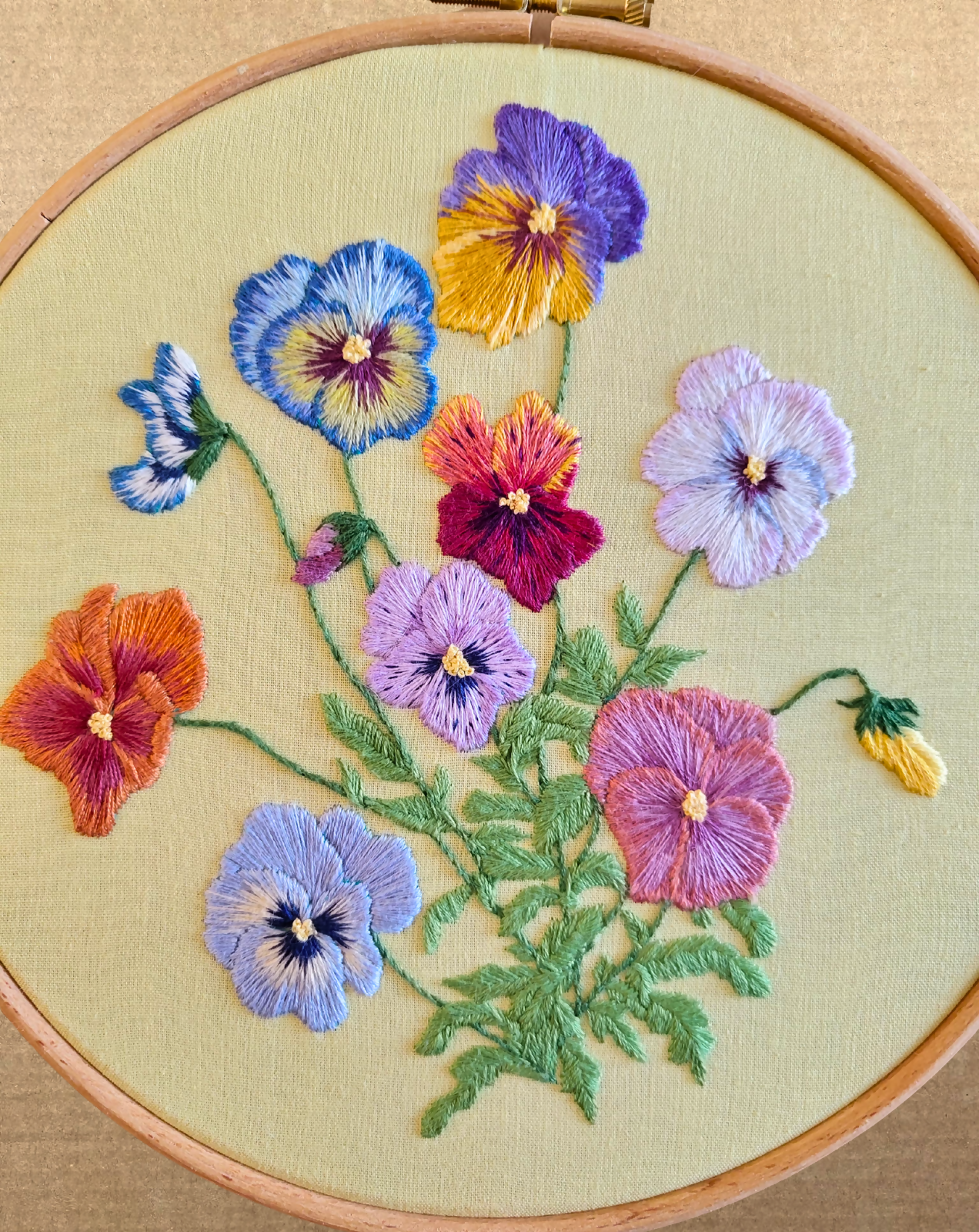 Colorfull pansy flowers