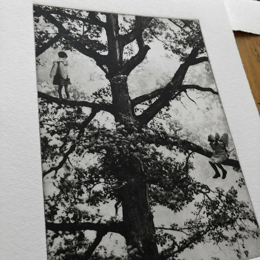 Exterior No.20: Whizzing through The Woods