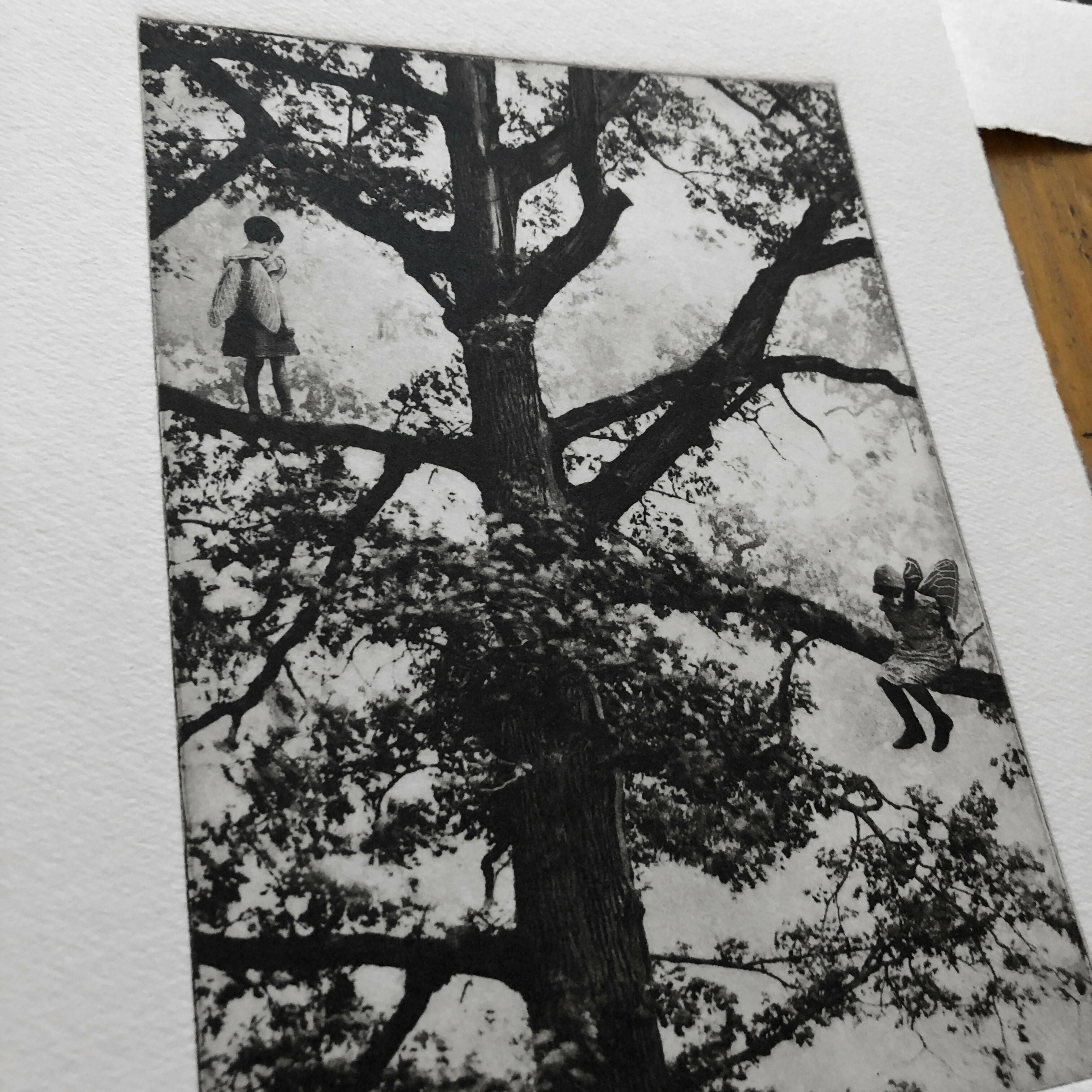 Exterior No.20: Whizzing through The Woods