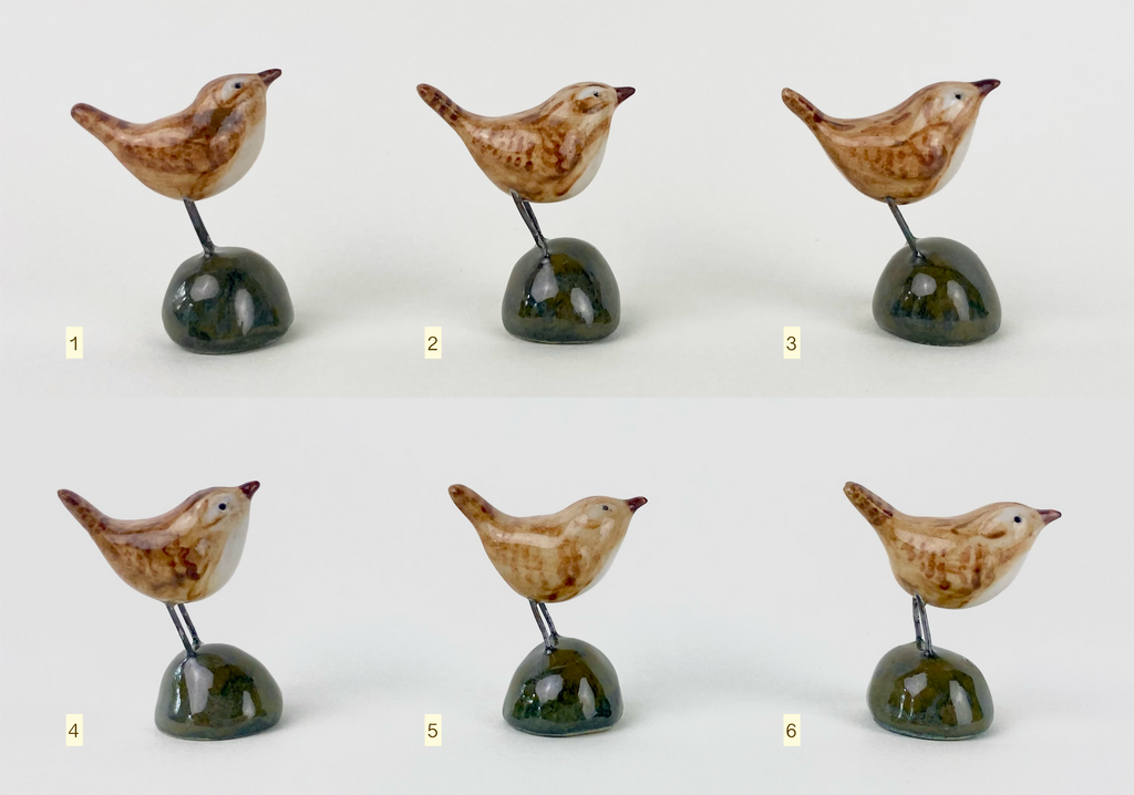 Little bird friend - wren