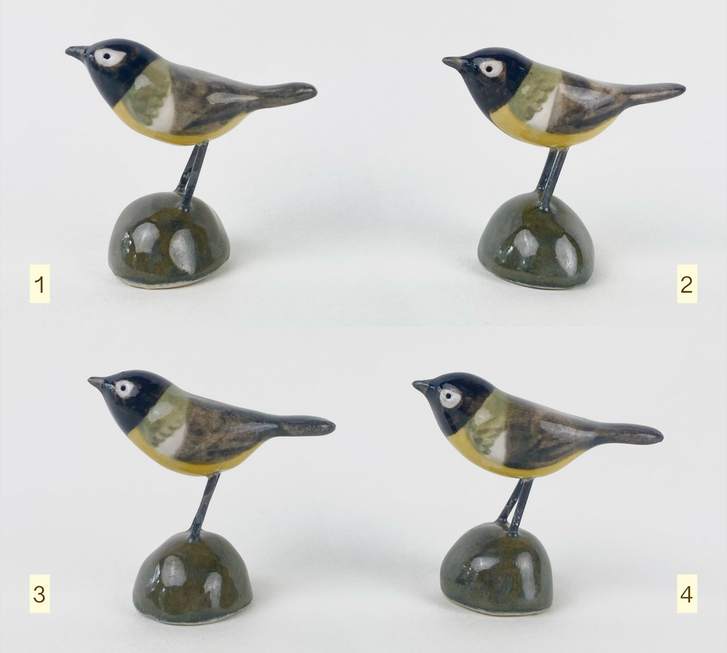 Little bird friend - great tit