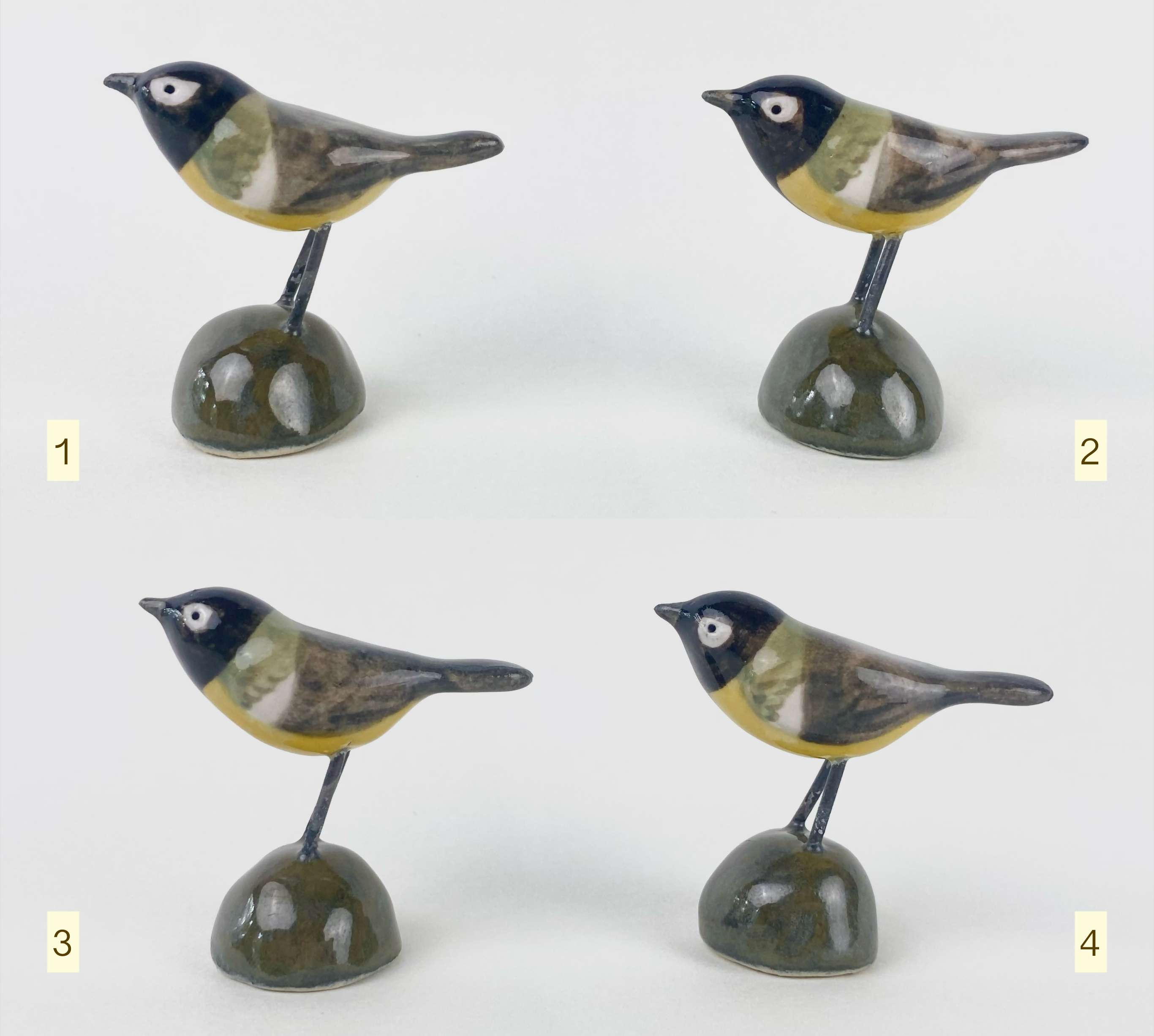 Little bird friend - great tit