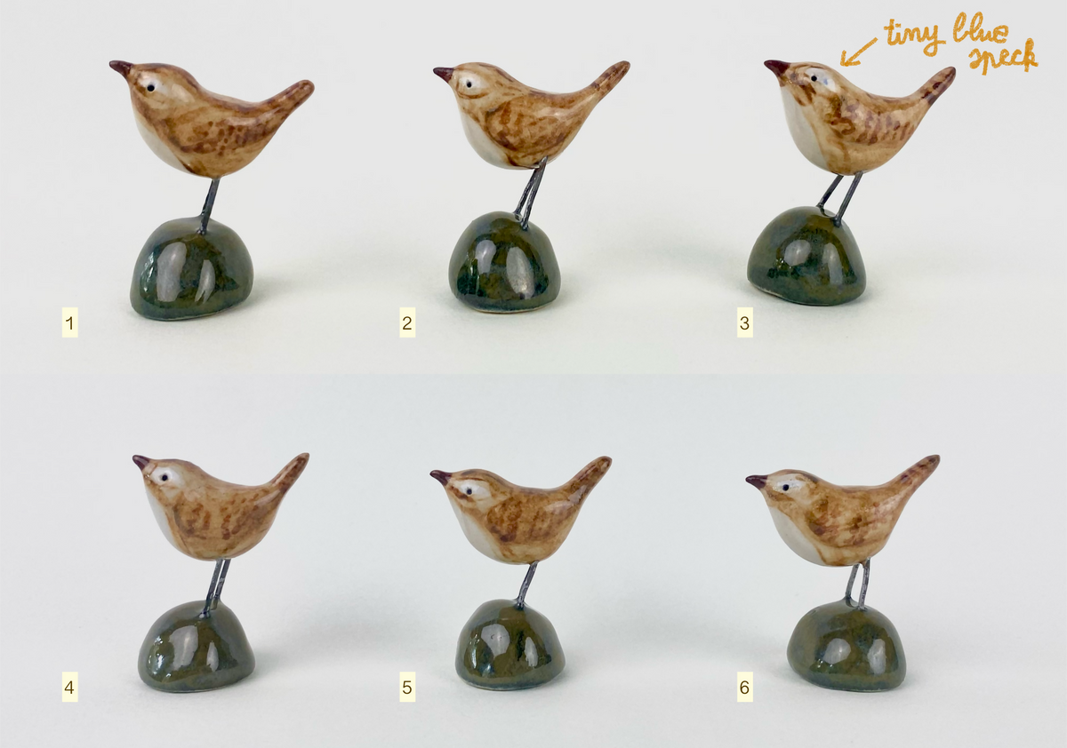 Little bird friend - wren
