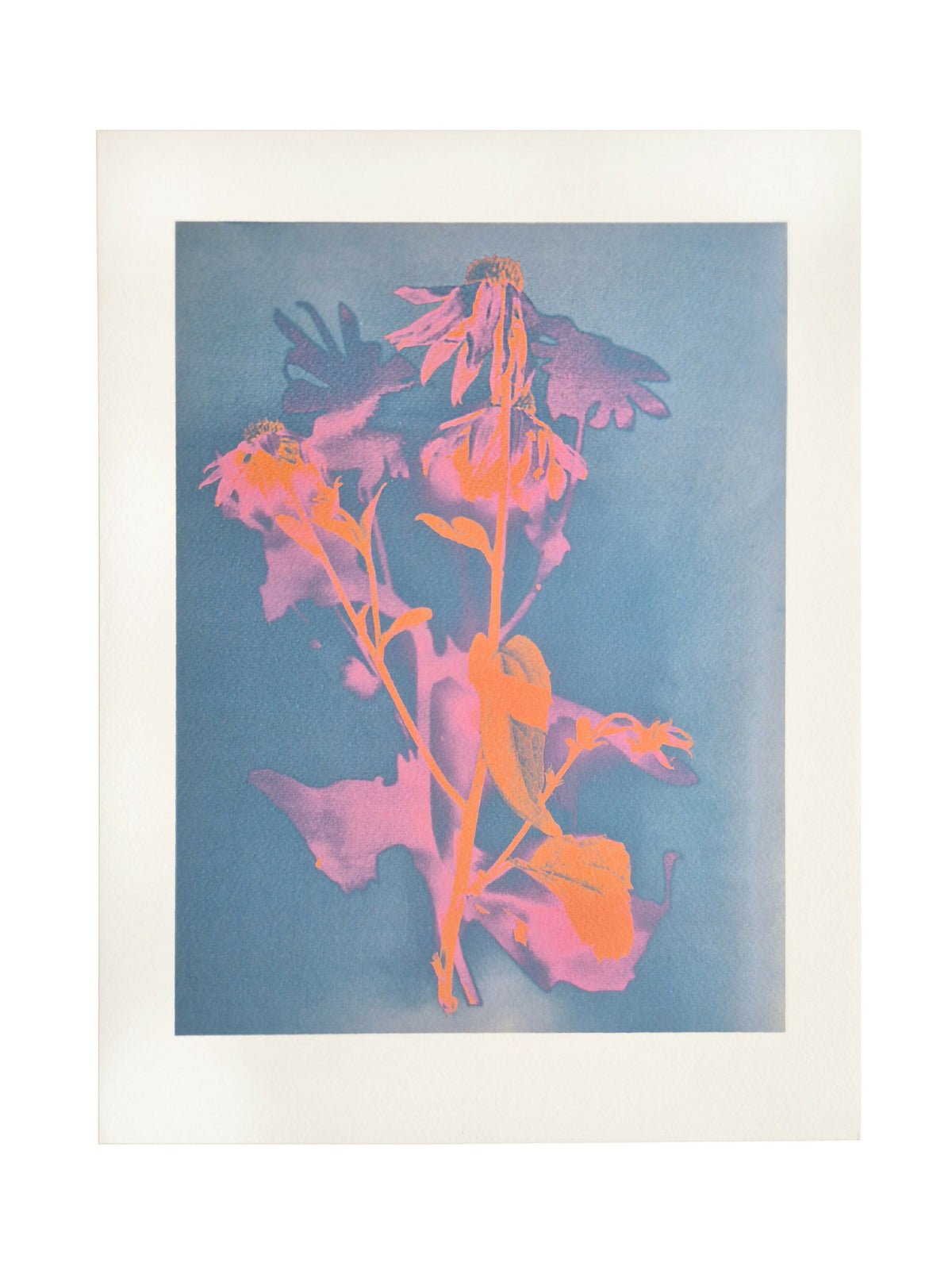 ZONNEBLOEM TURQUOISE