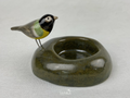 Korie the great tit