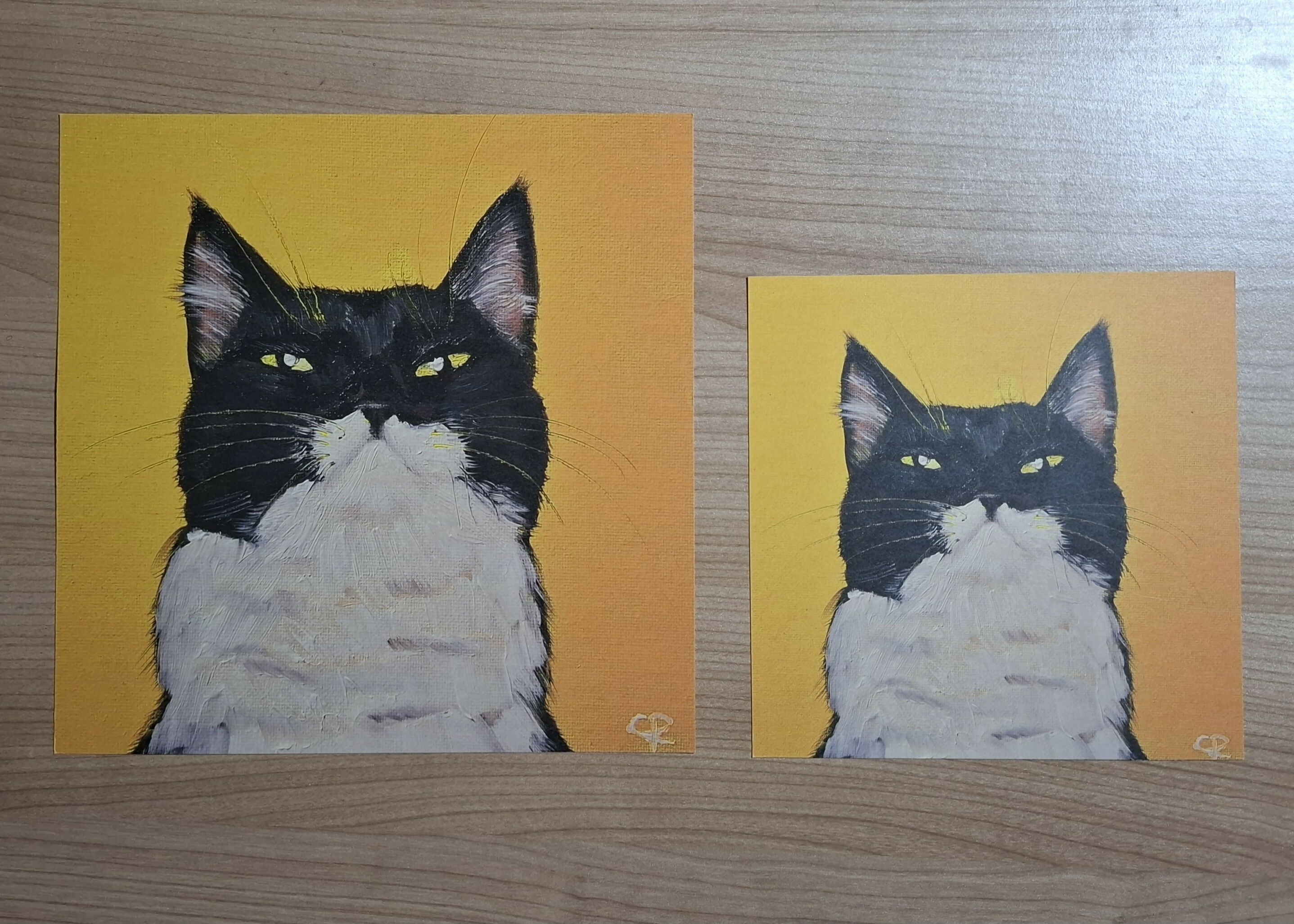 Cat print 'Pablo'