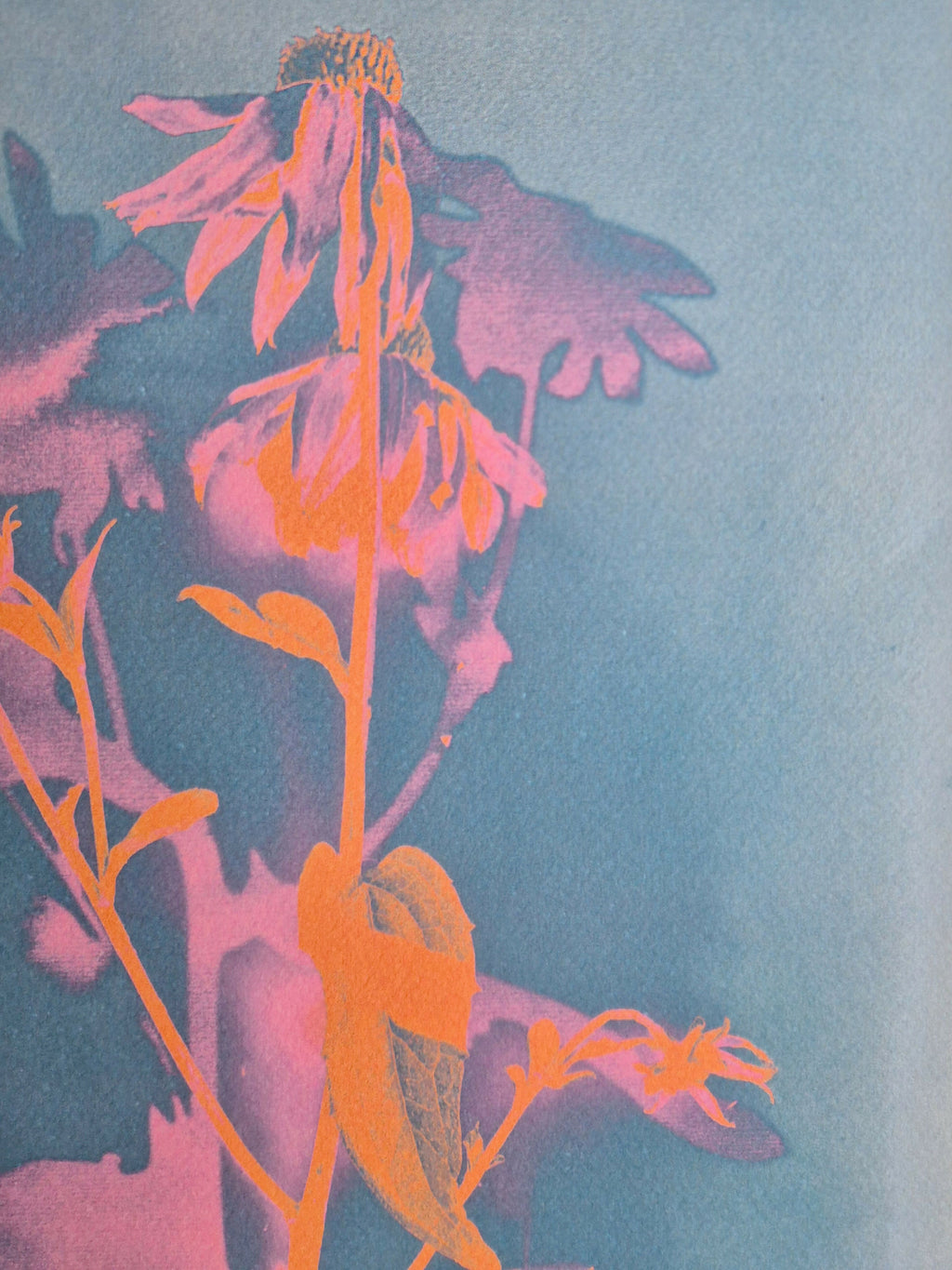 ZONNEBLOEM TURQUOISE