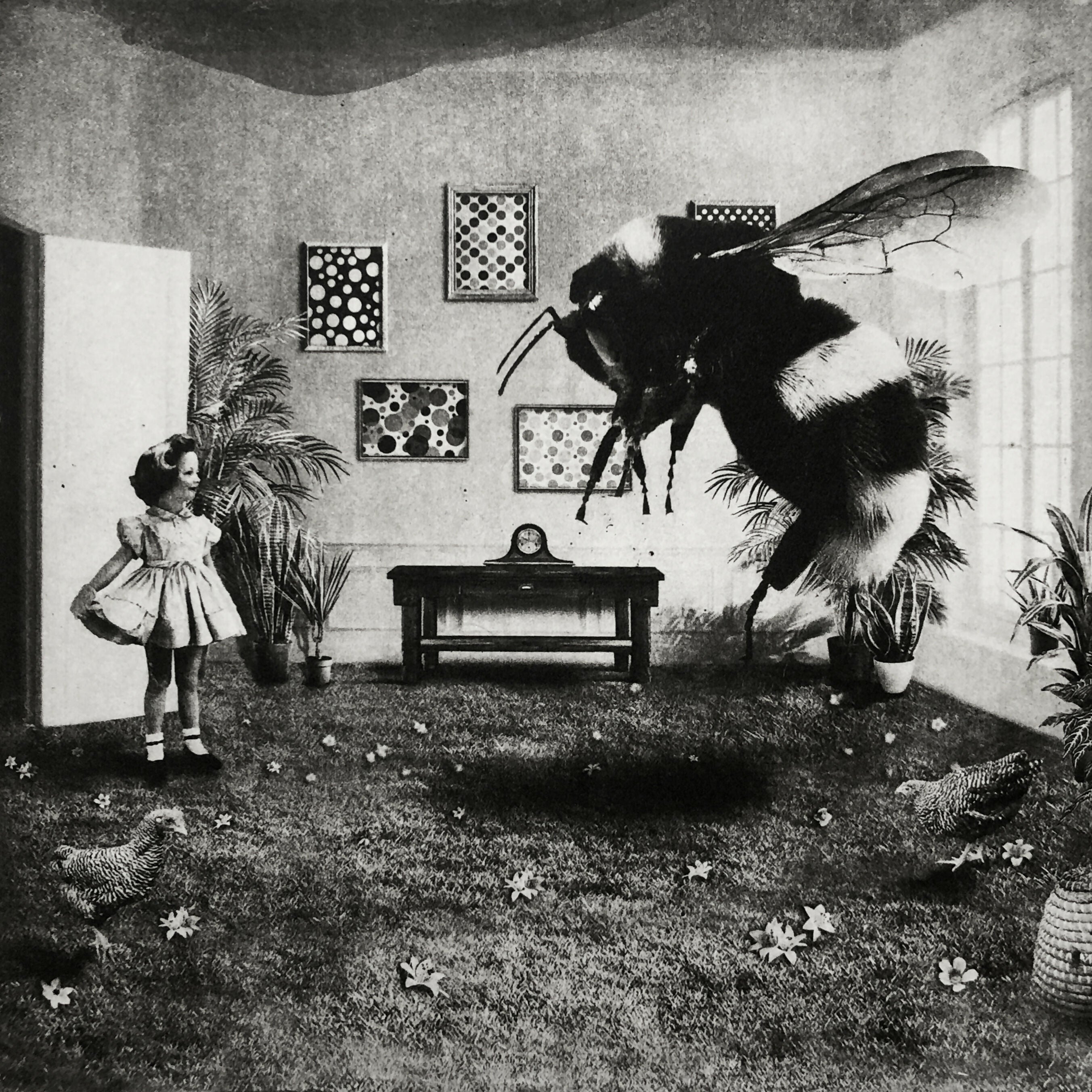 Interior No.99