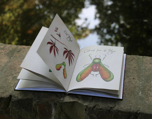 The Fantastic Bestiary - Kunstboek van Botanical Creatures & more – foto 2