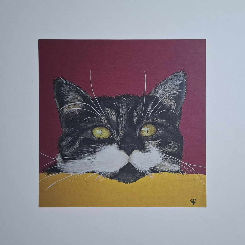 Cat print 'Gluurpoes'