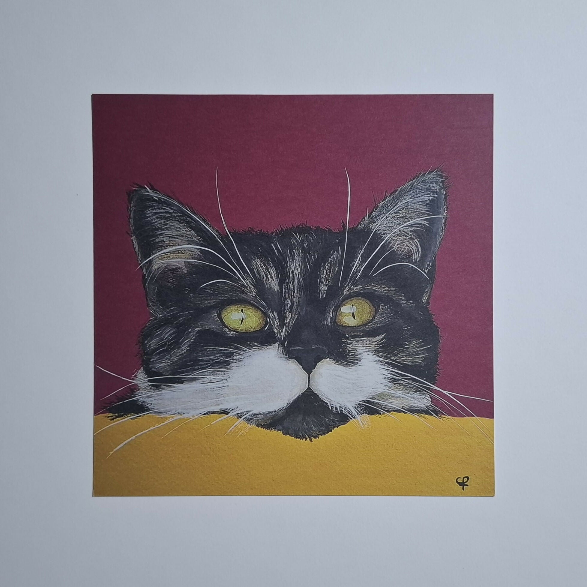Cat print 'Gluurpoes'