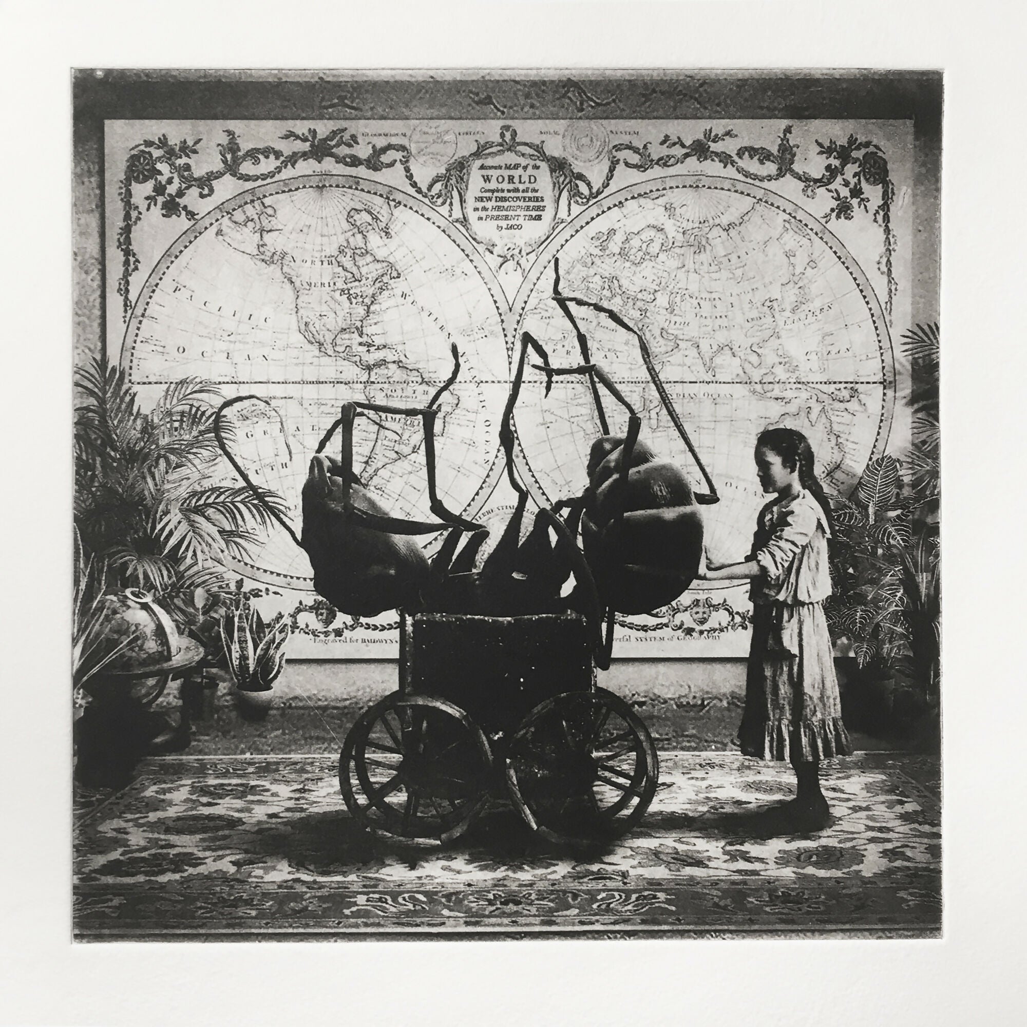 Interior No.63