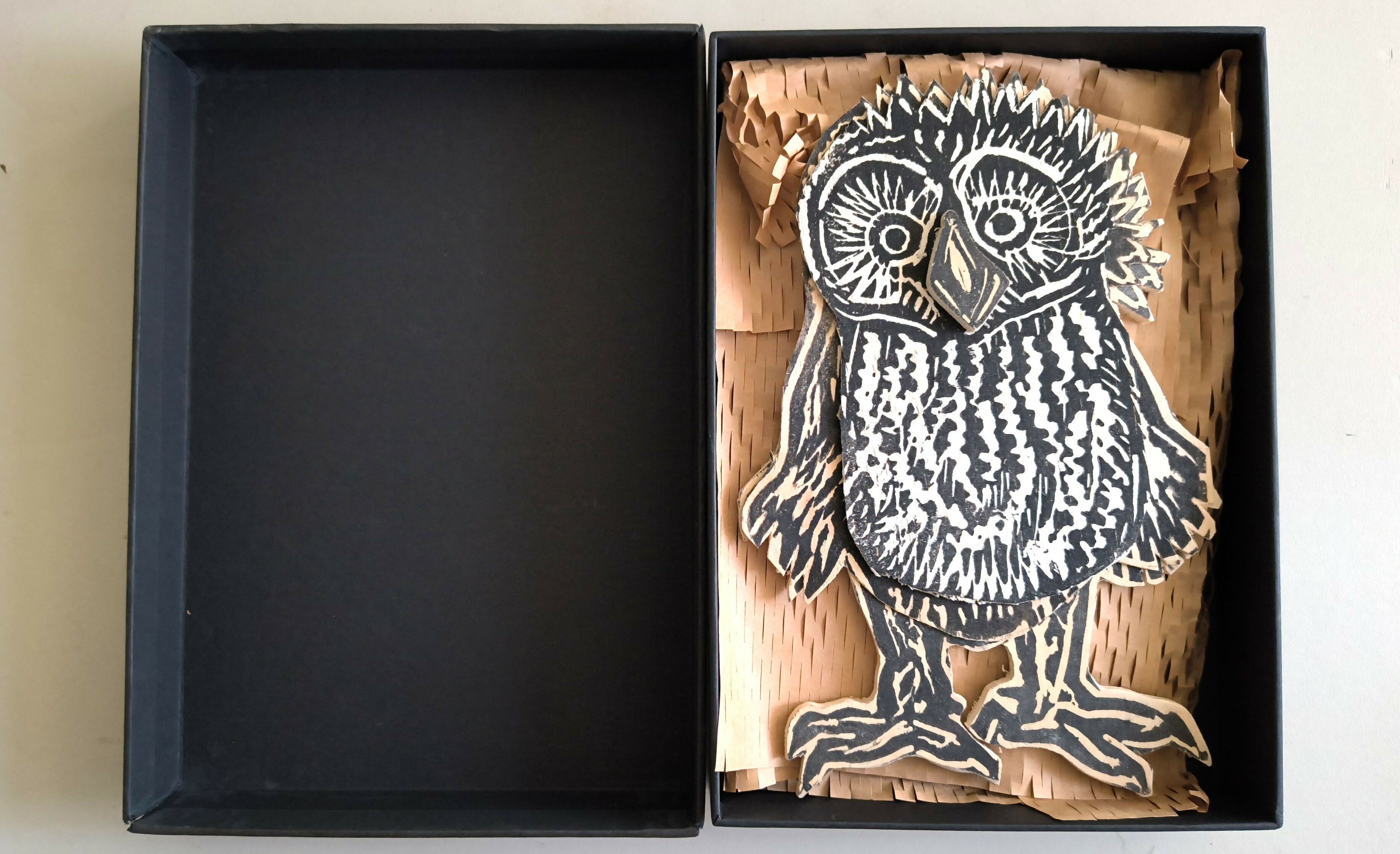 Ninny Owlet