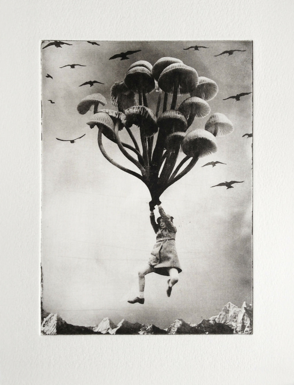 The Girl and The Mushrooms