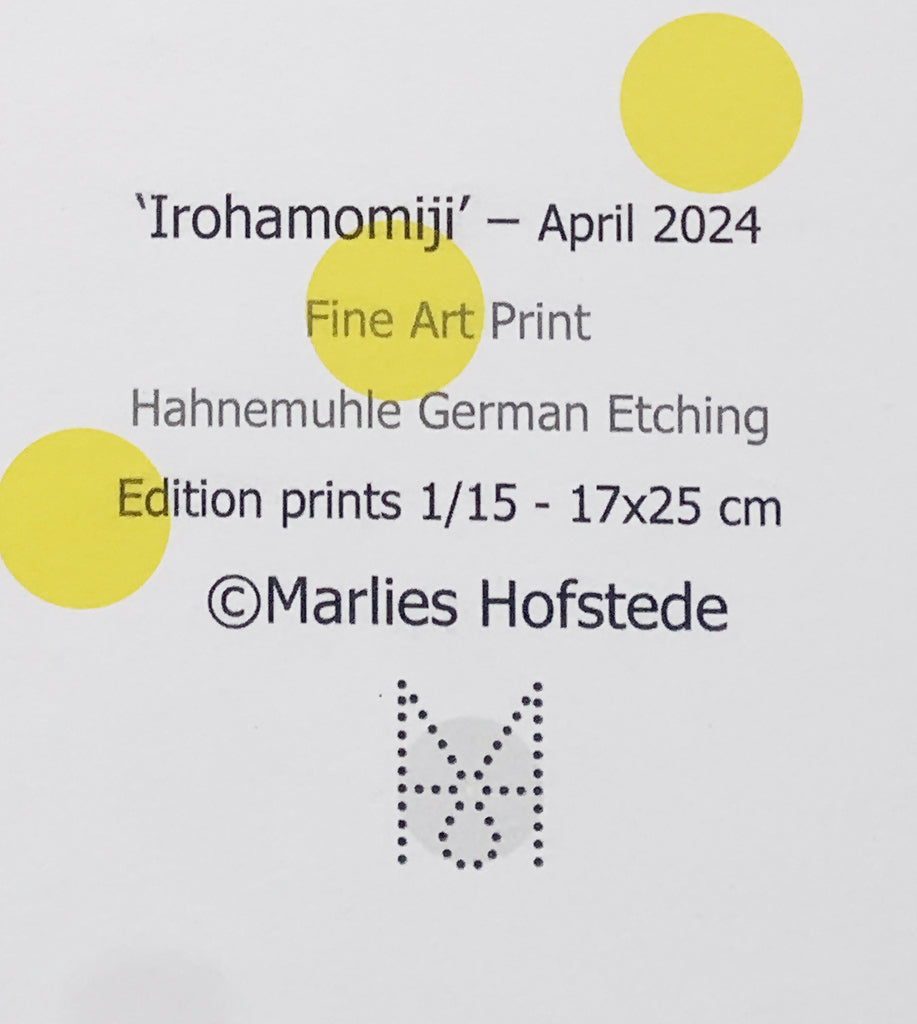 Irohamomiji