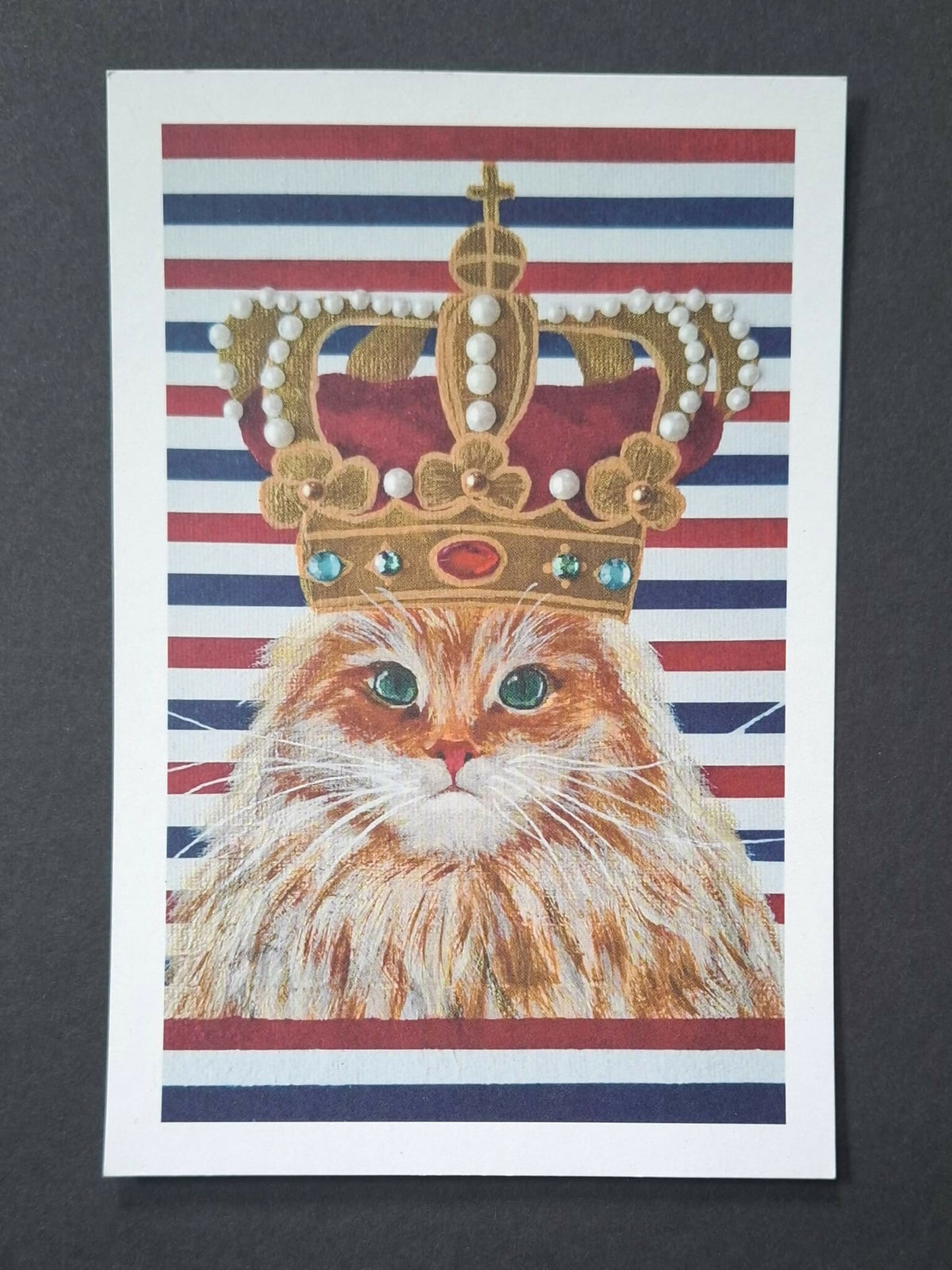 Cat print 'Zijne mauwisteit'
