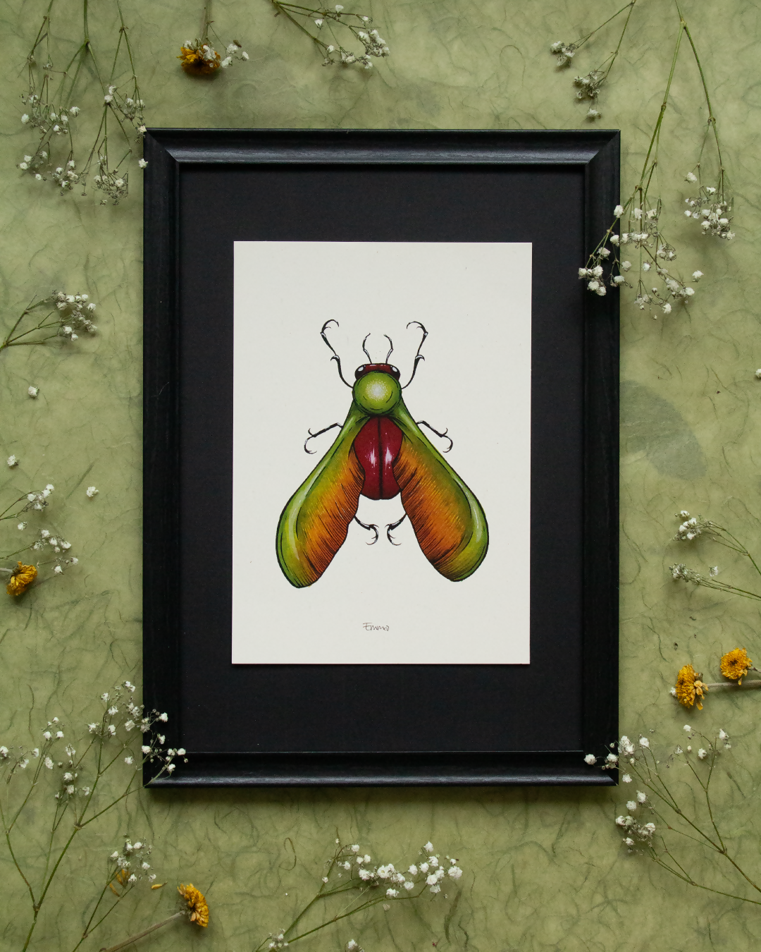 Kakkerlak van de esdoorn - Artprint