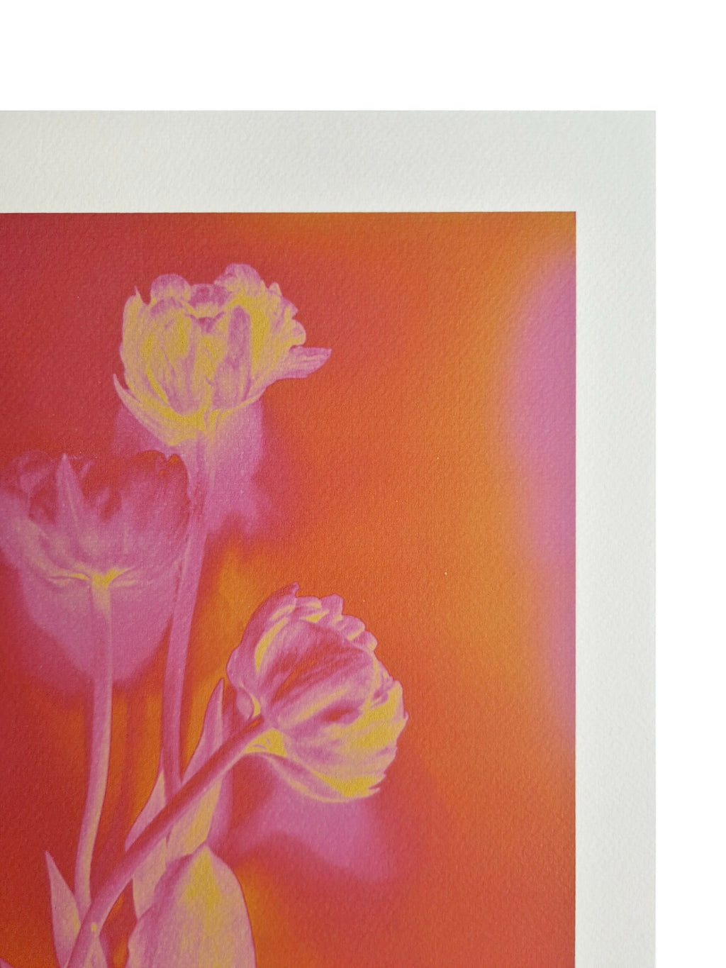 SOLAR FLORAL TULIP