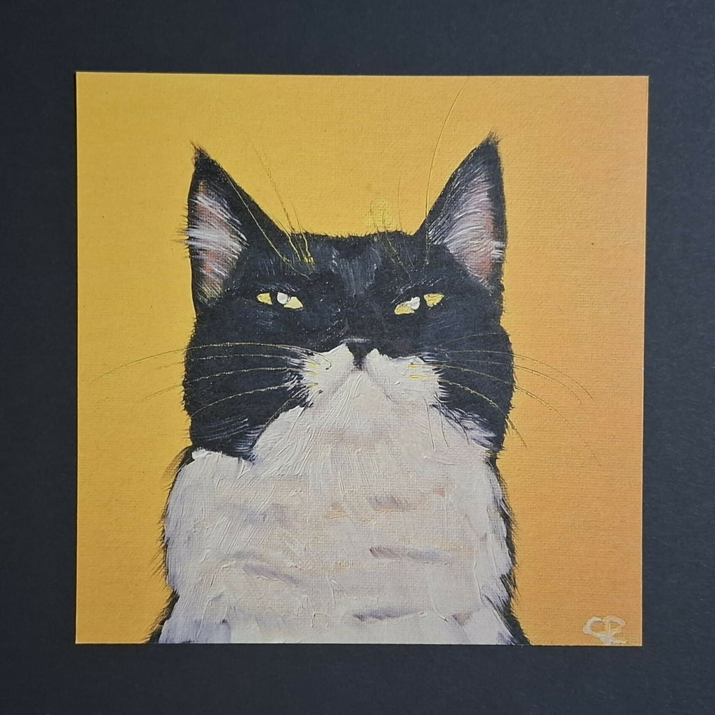 Cat print 'Pablo'