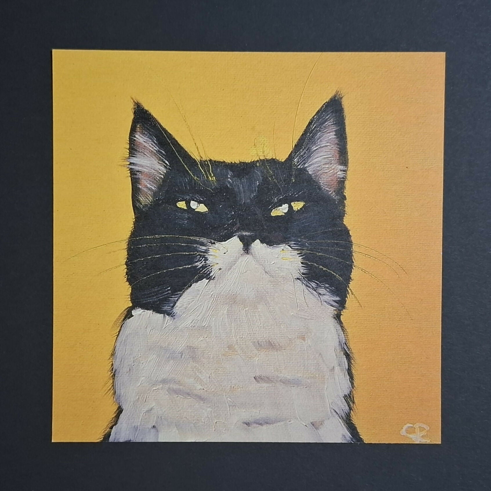 Cat print 'Pablo'