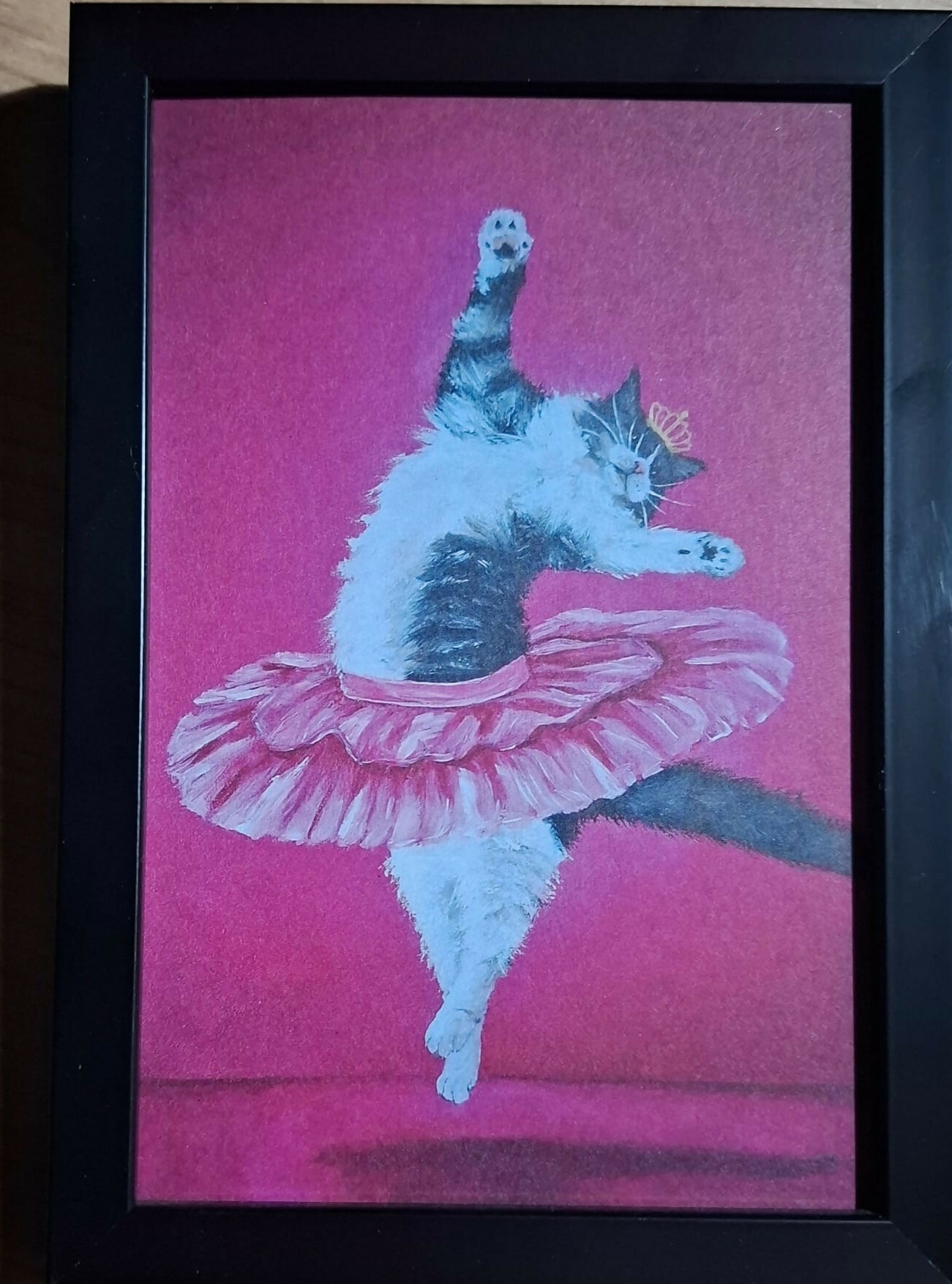 Cat print - Pas de chat