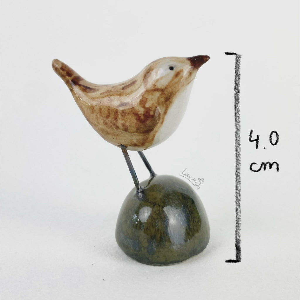 Little bird friend - wren