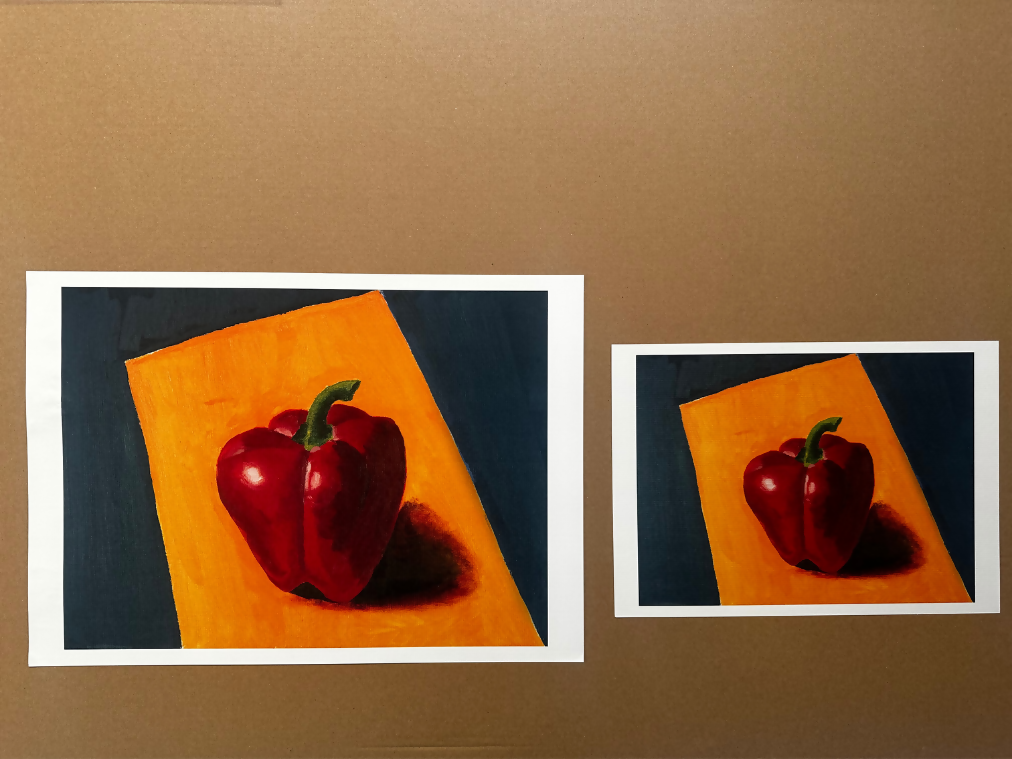Rode Paprika – Fine Art Print op A4-formaat