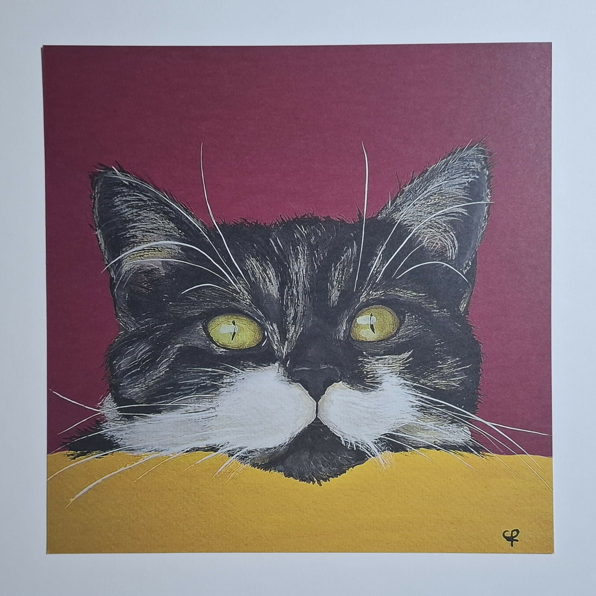 Cat print 'Gluurpoes'