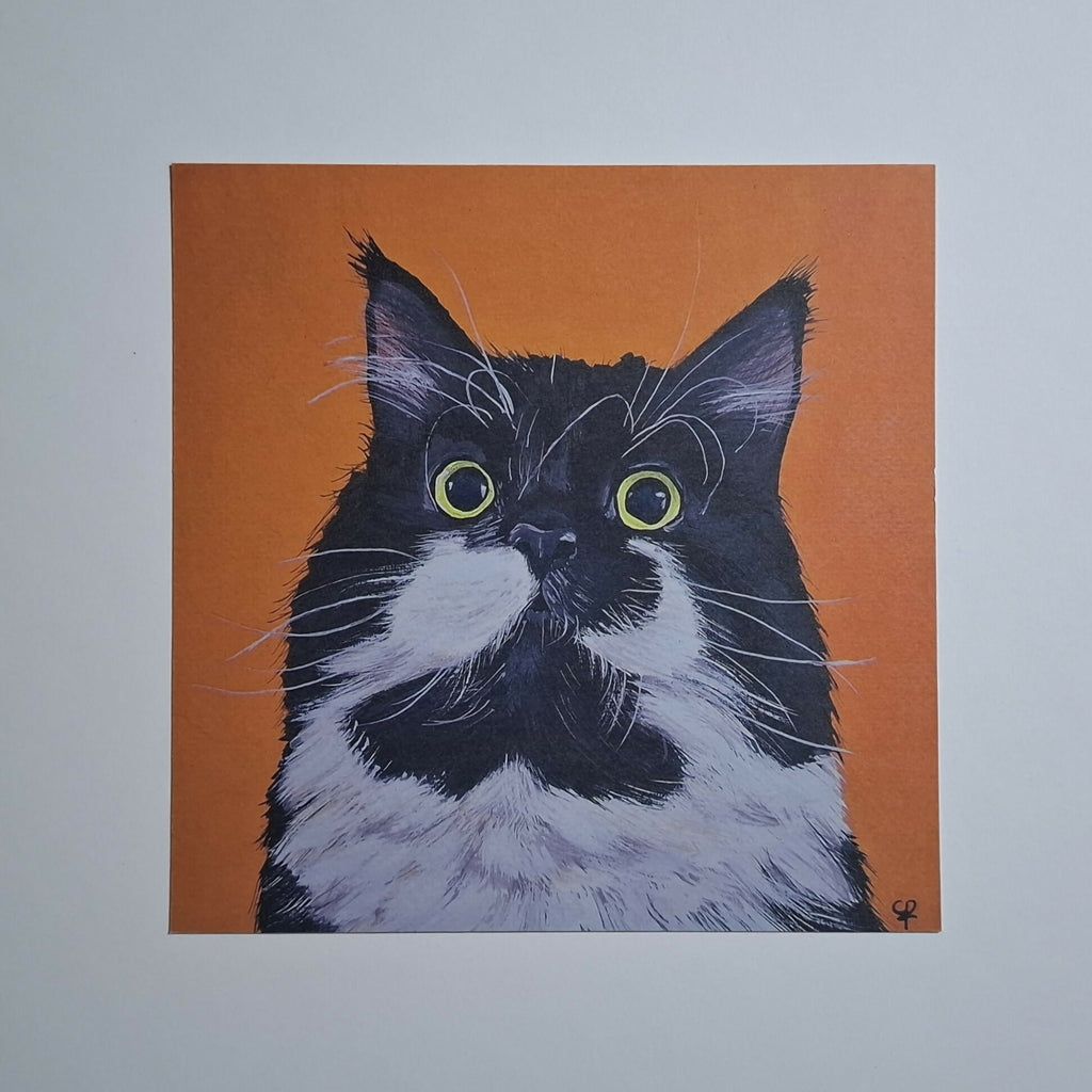 Cat print 'Staarpoes'