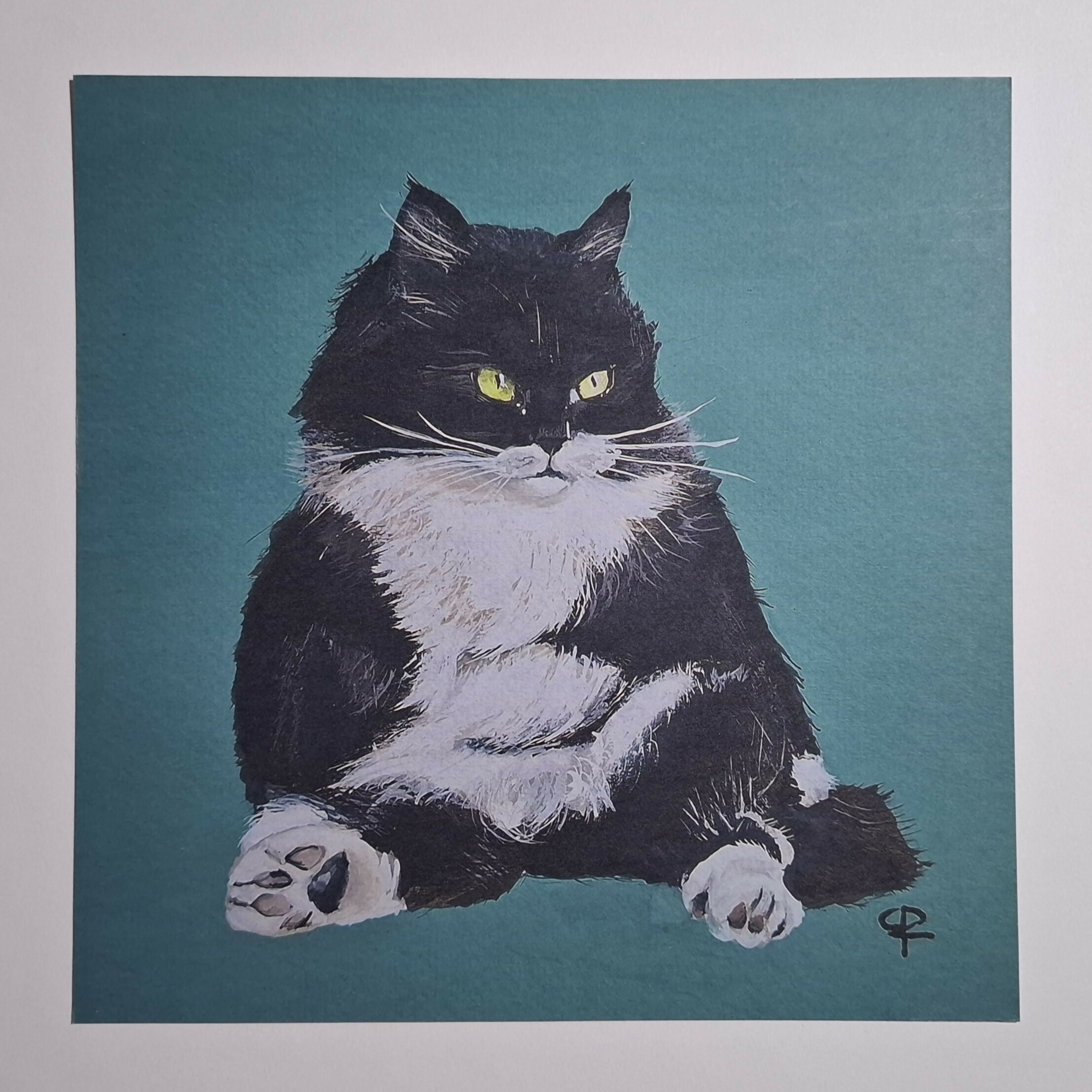 Cat print 'Zitpoes'