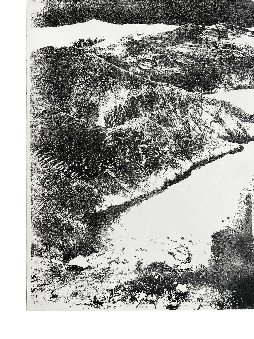 ORIGINELE LANDSCHAPSMONOPRINT
