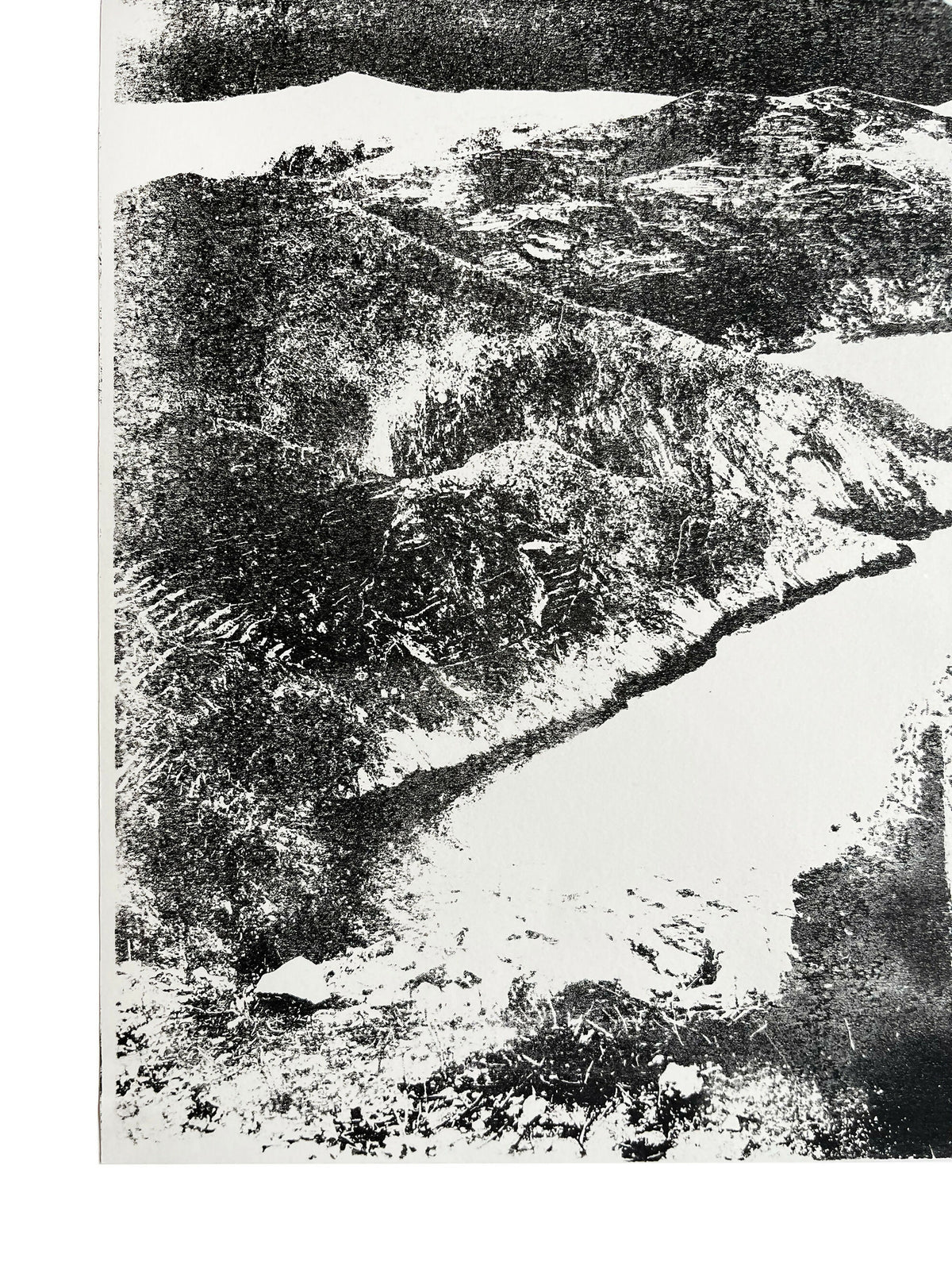 ORIGINELE LANDSCHAPSMONOPRINT