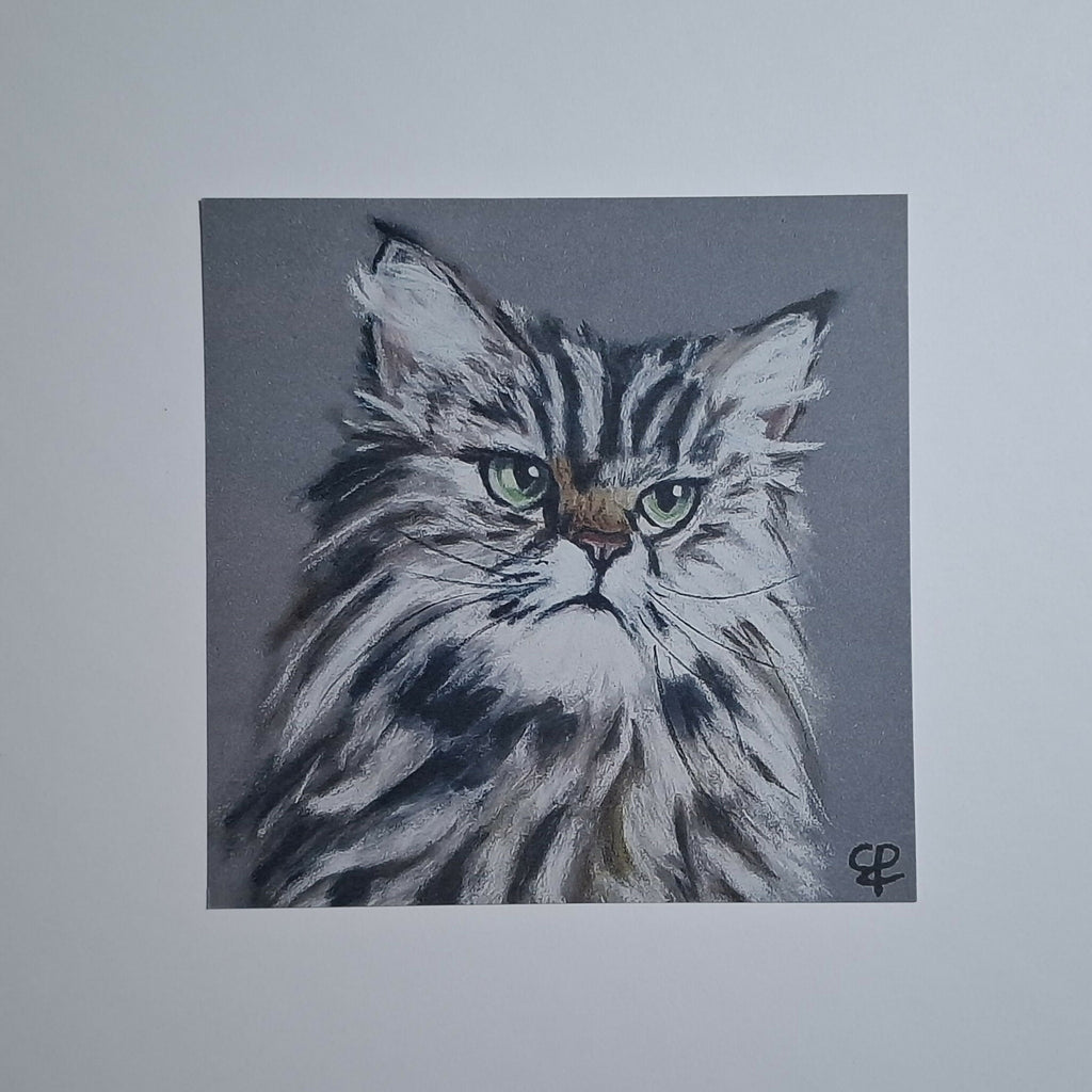 Cat print 'Dirk'